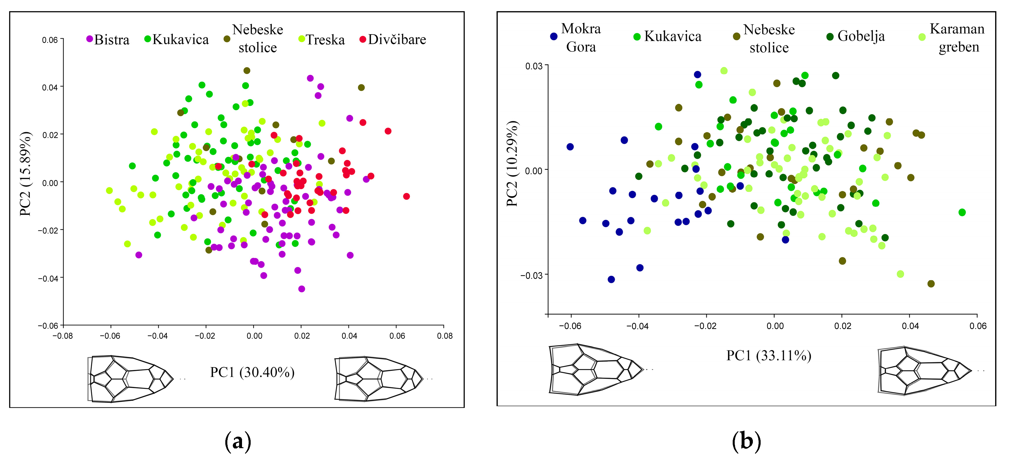 Symmetry 15 00721 g002