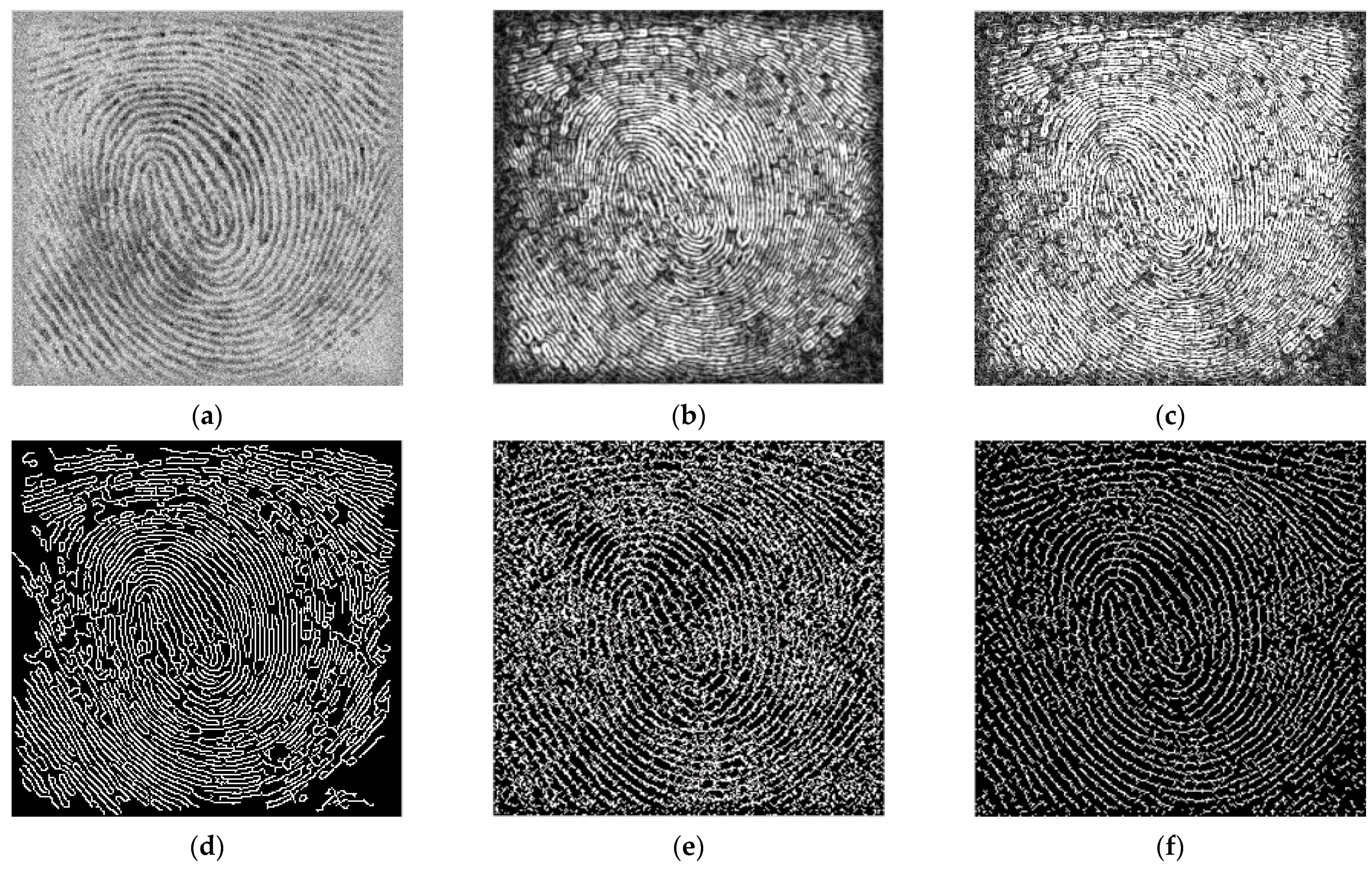 Symmetry 15 00803 g006