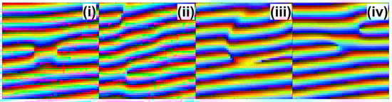Symmetry 15 00860 g010