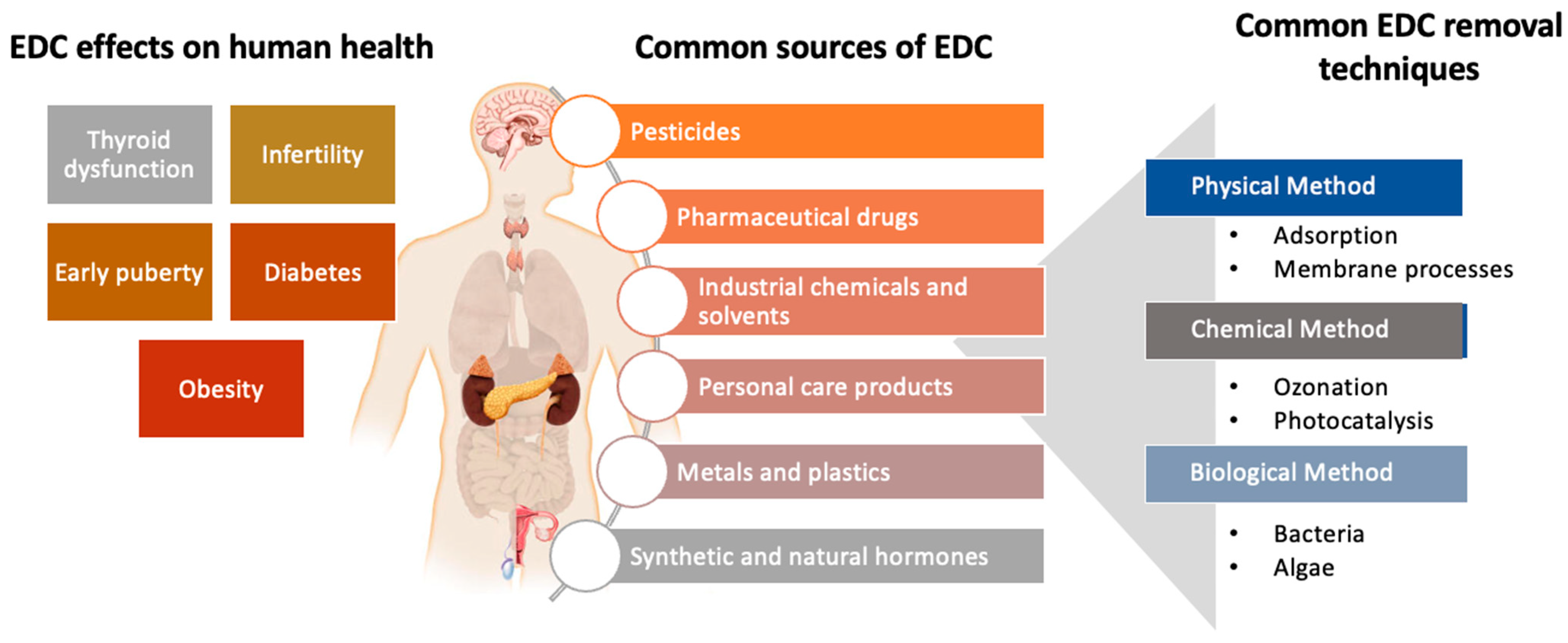 Symmetry 15 01049 g001
