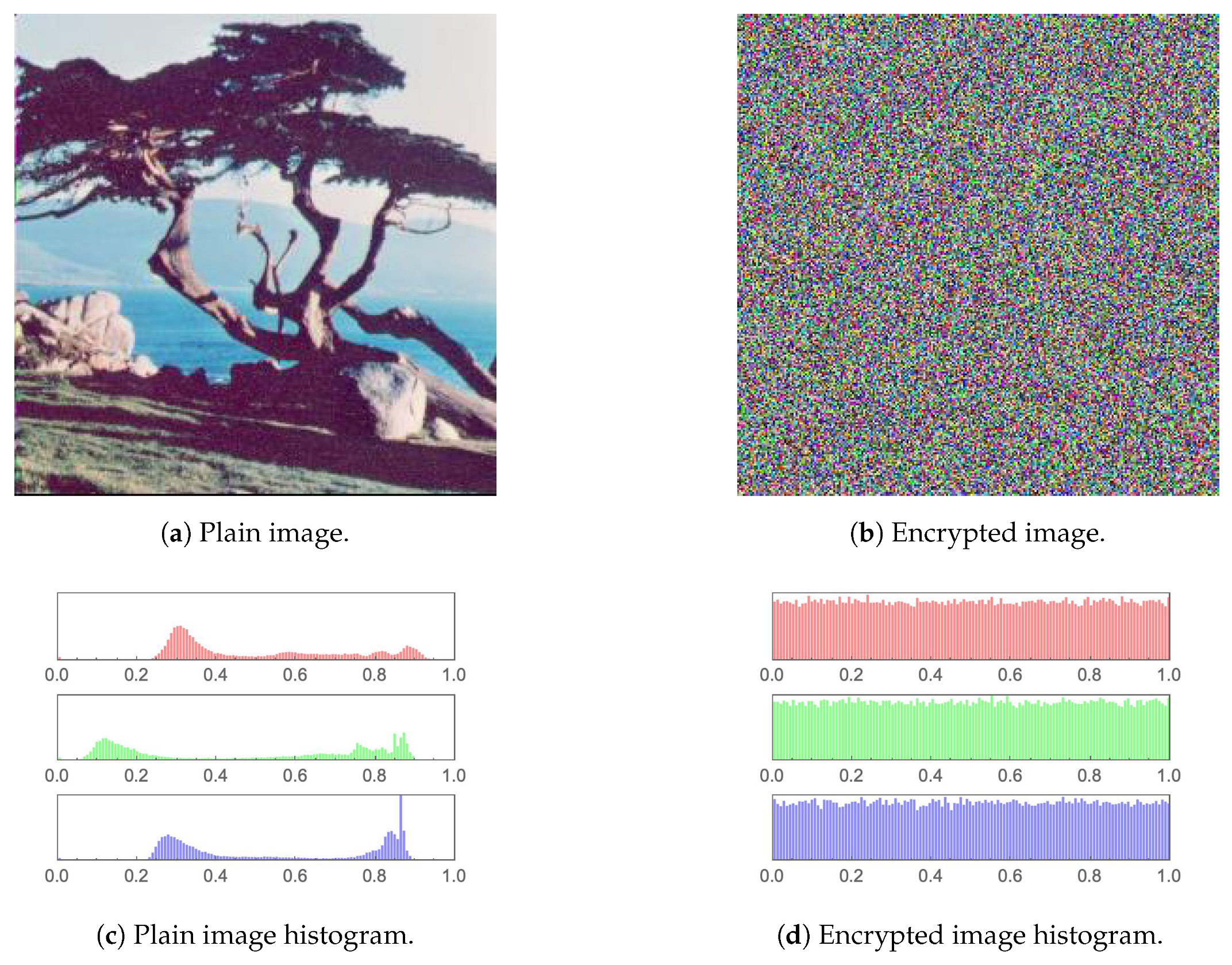 Symmetry 15 01081 g011