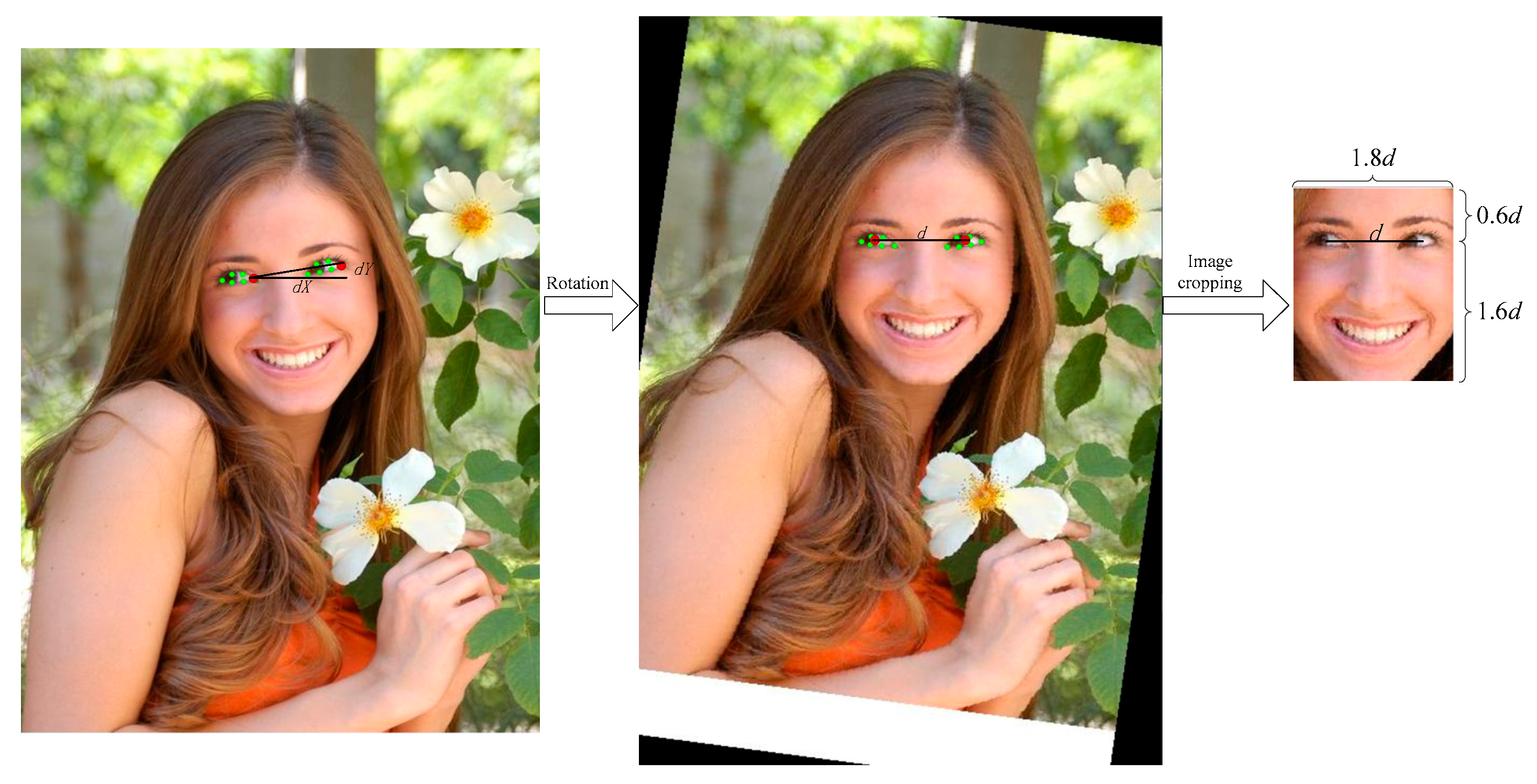 Symmetry 15 01228 g003