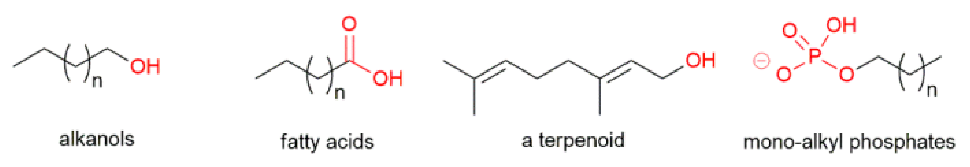 Symmetry 15 01259 g002