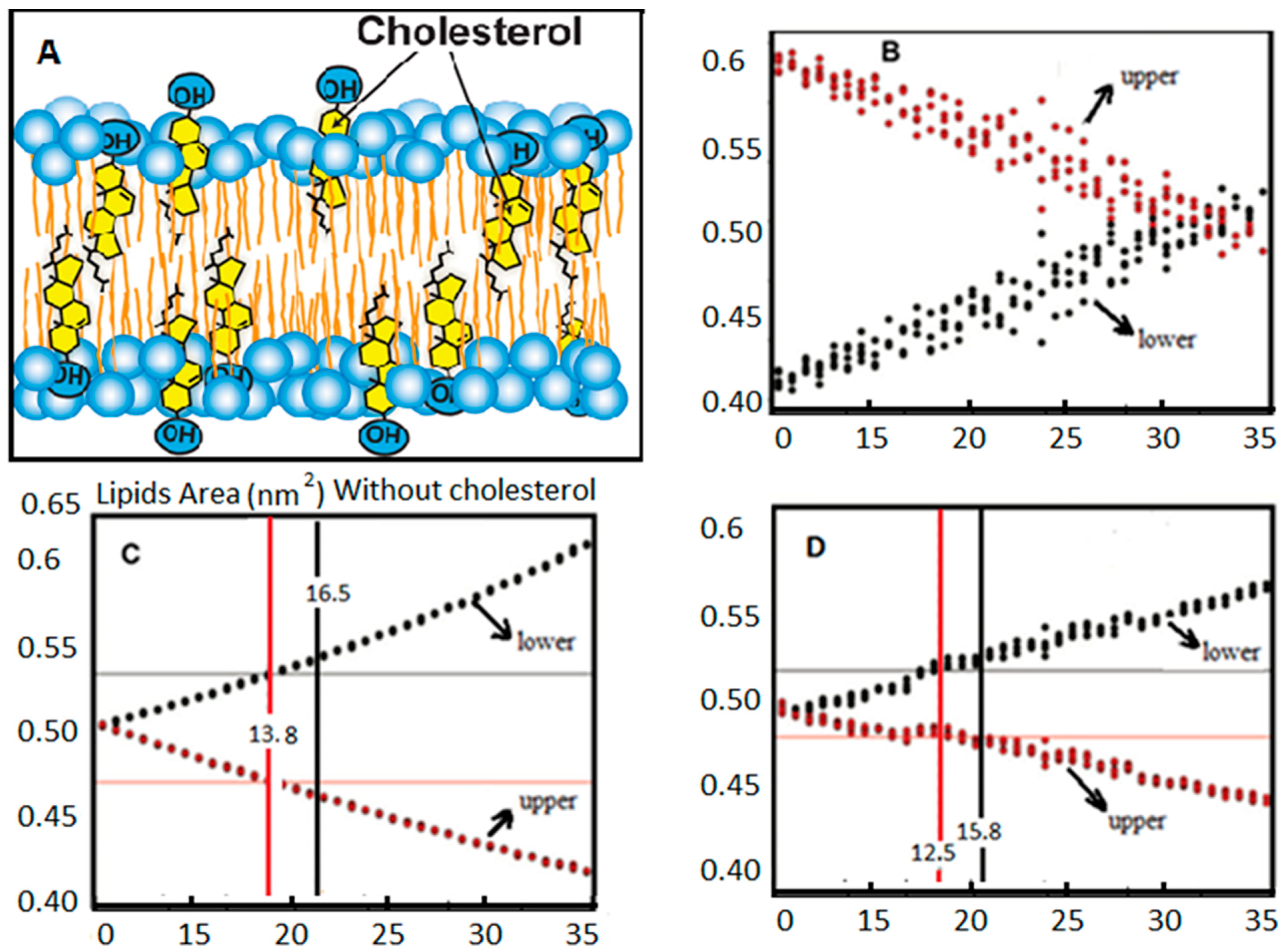 Symmetry 15 01259 g005