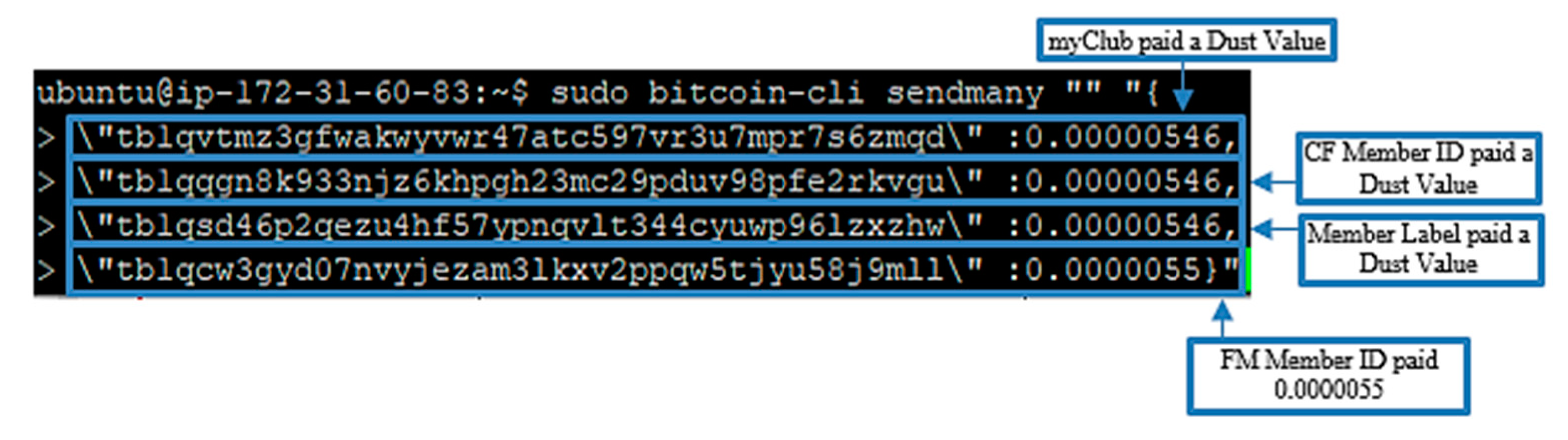 Symmetry 15 01273 g009 Symmetry 15 01273 g009