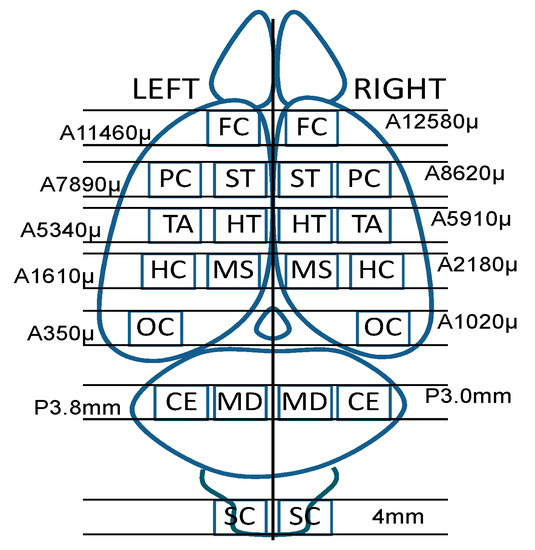 Symmetry 15 01320 g001