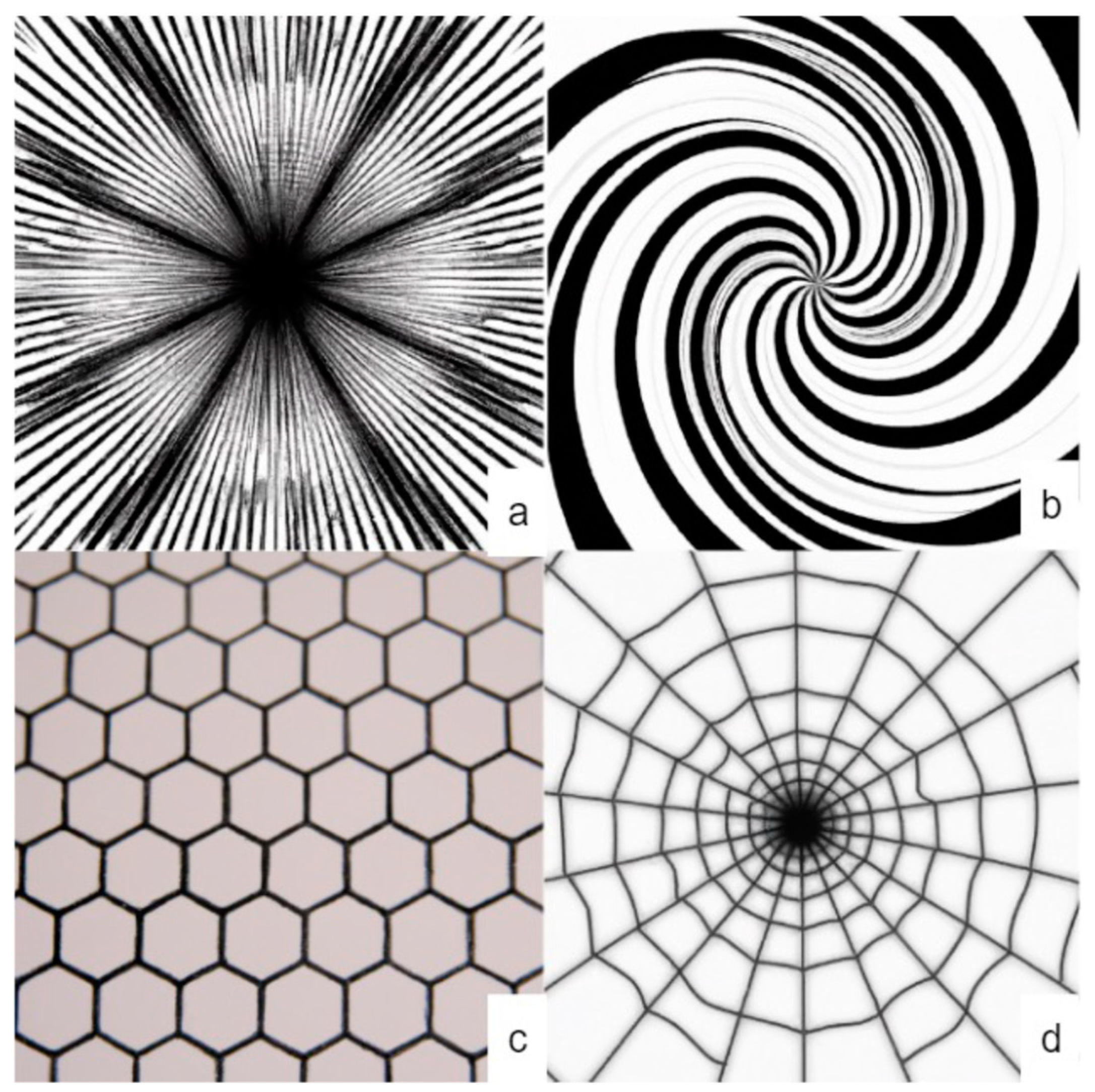 Symmetry 15 01340 g009
