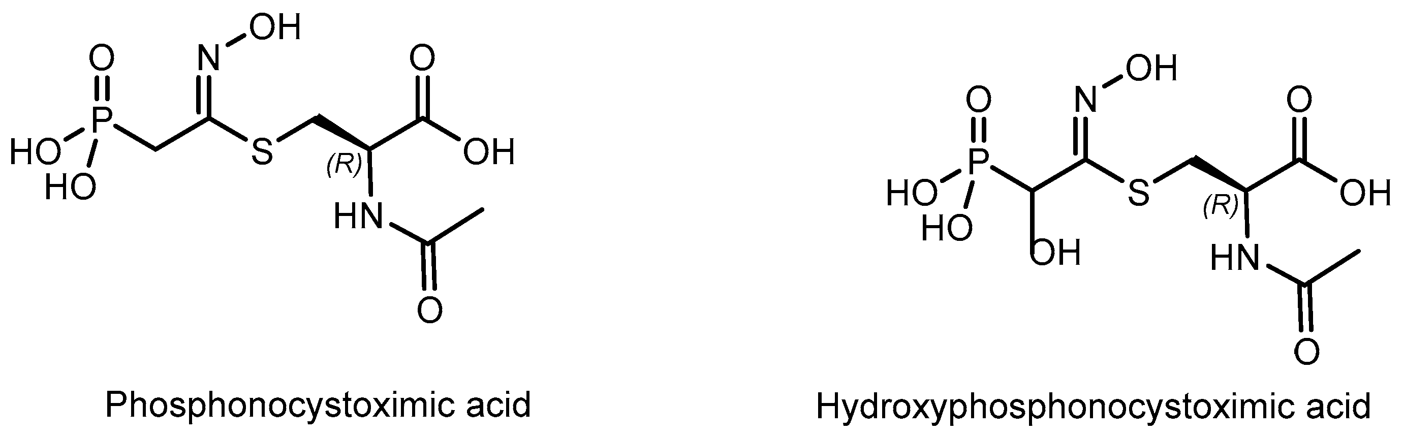 Symmetry 15 01550 g004