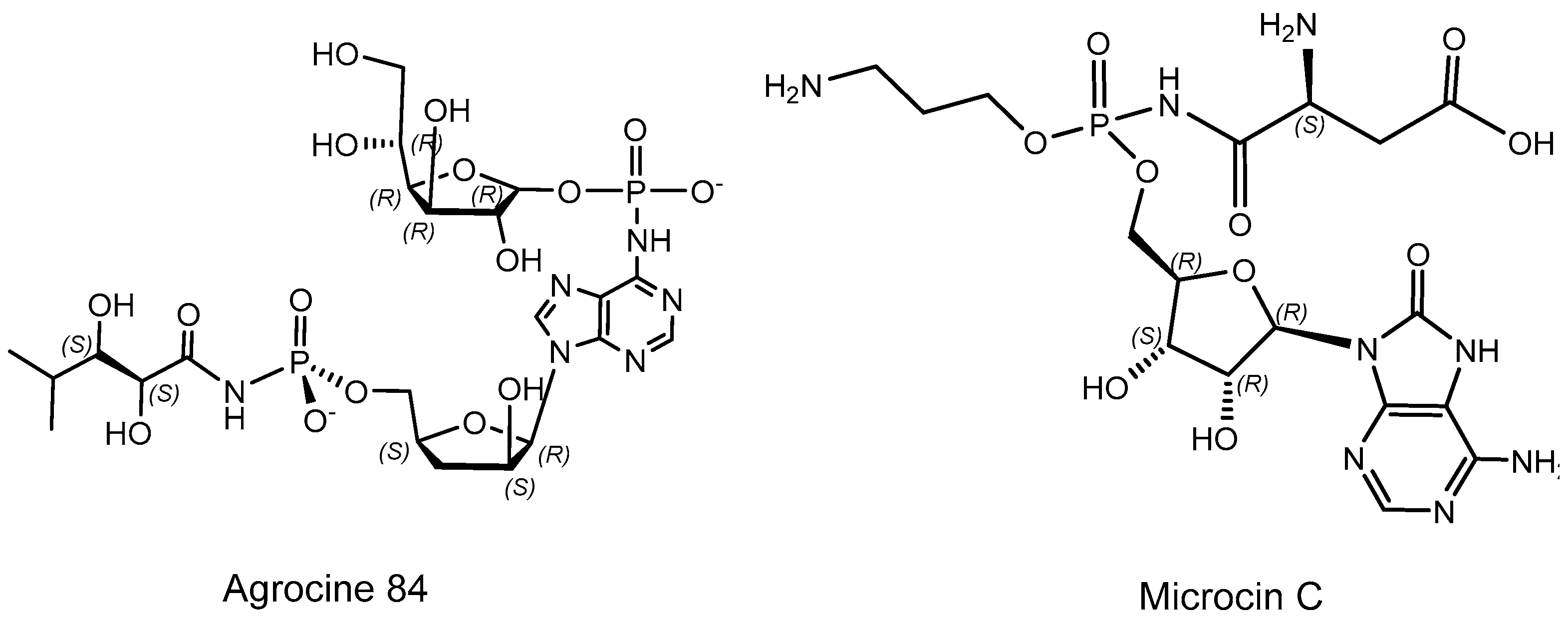 Symmetry 15 01550 g005
