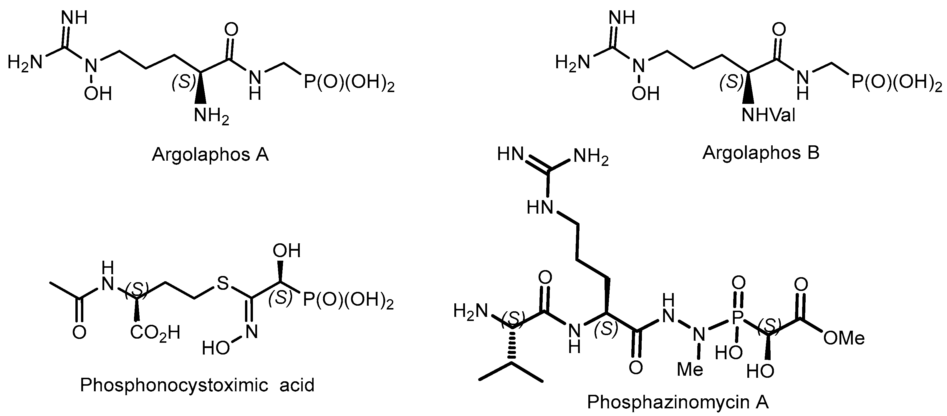 Symmetry 15 01550 g019