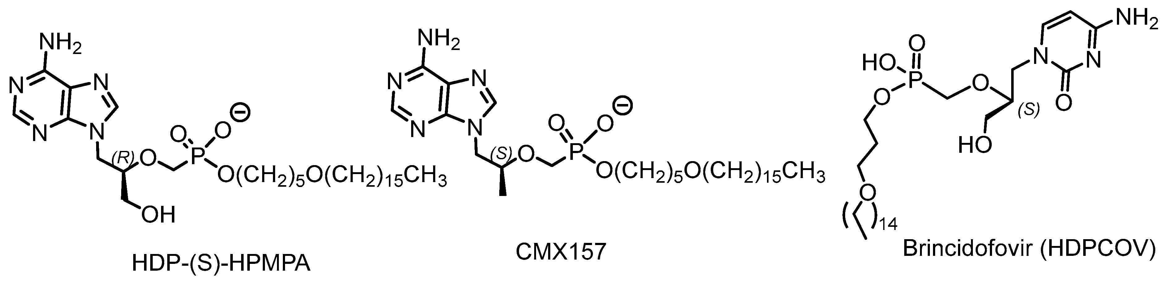 Symmetry 15 01550 g028