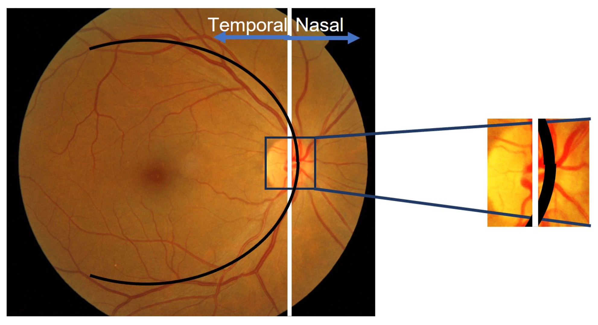 Symmetry 15 01631 g004