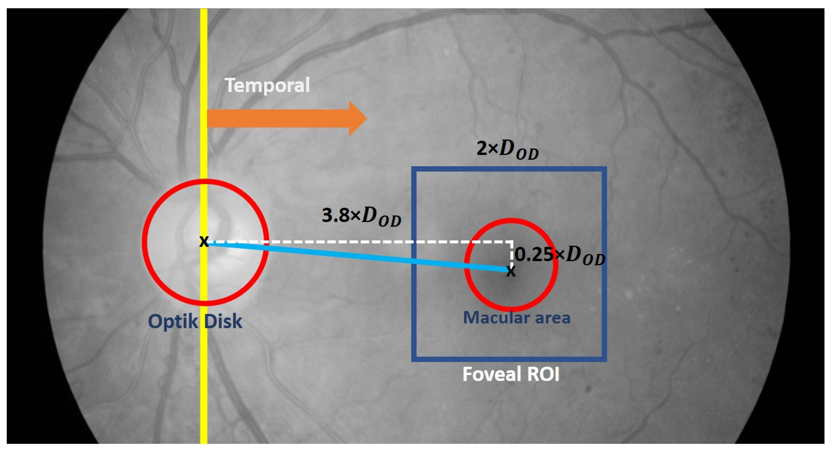Symmetry 15 01631 g008