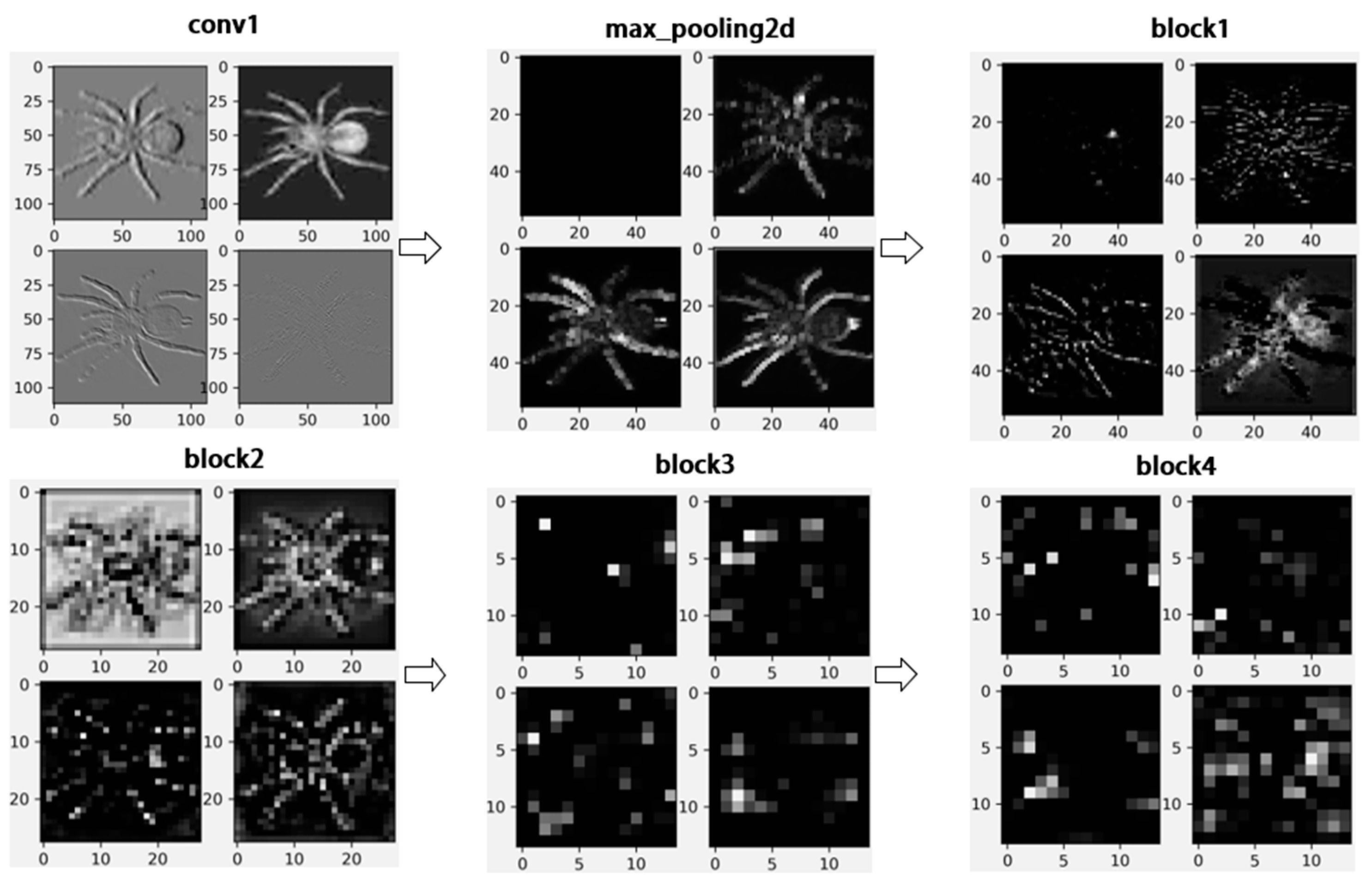 Symmetry 15 01727 g010