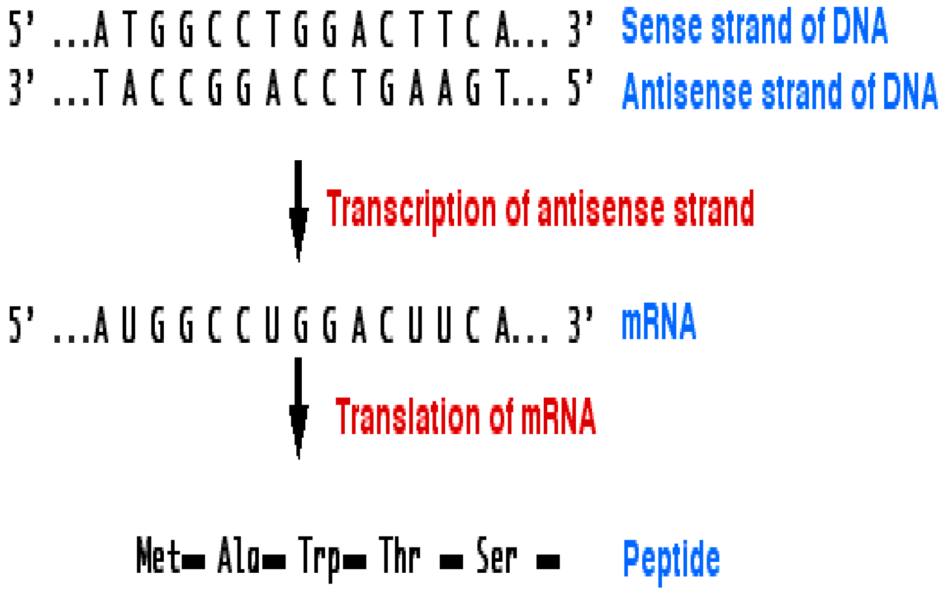 Symmetry 15 01741 g005