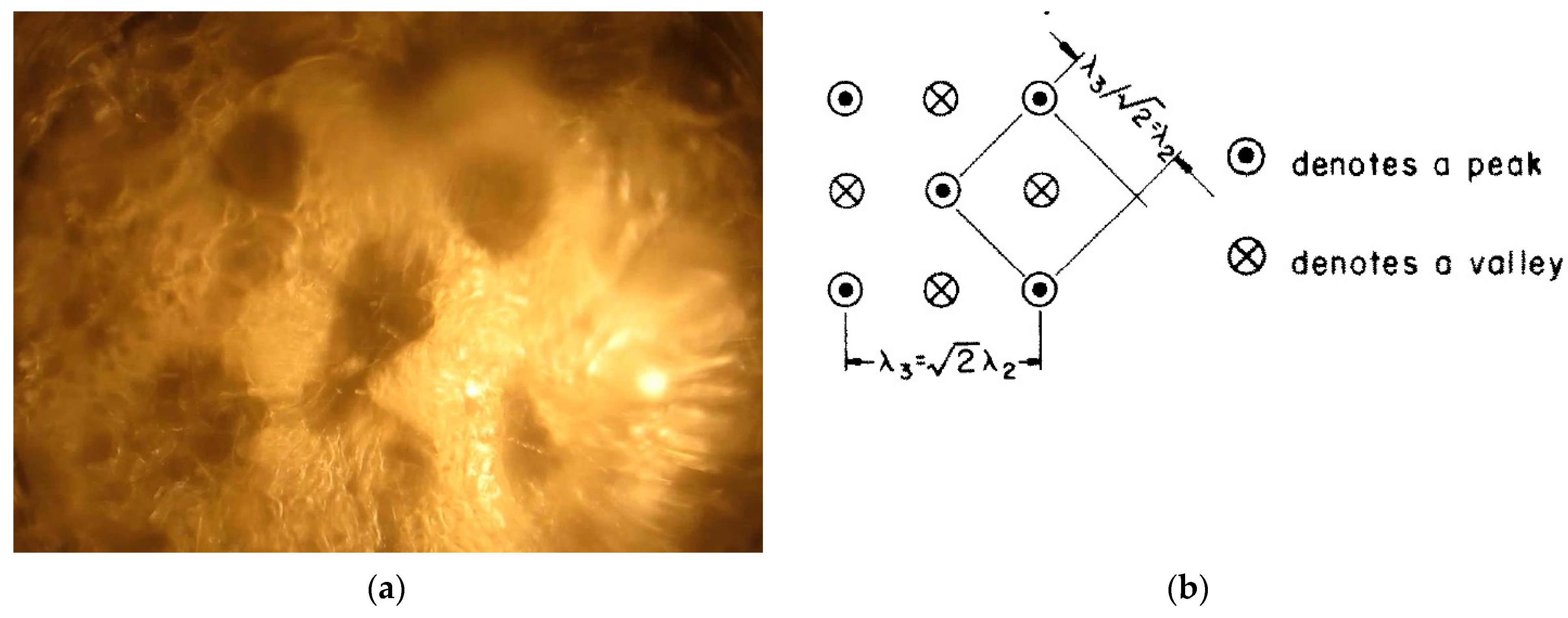 Symmetry 15 01792 g005