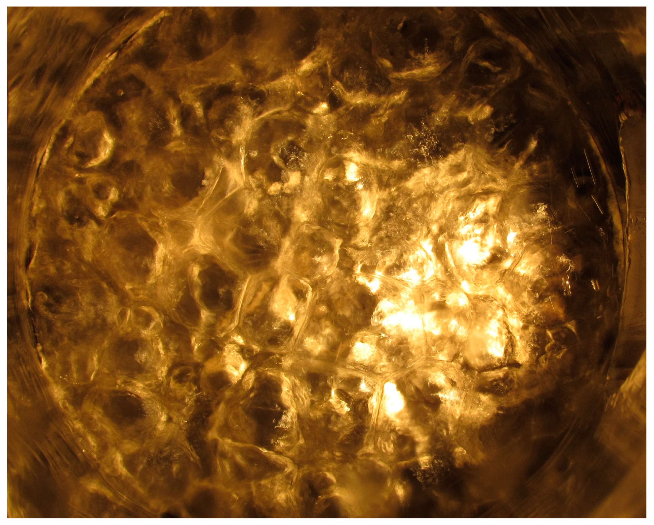 Symmetry 15 01792 g007