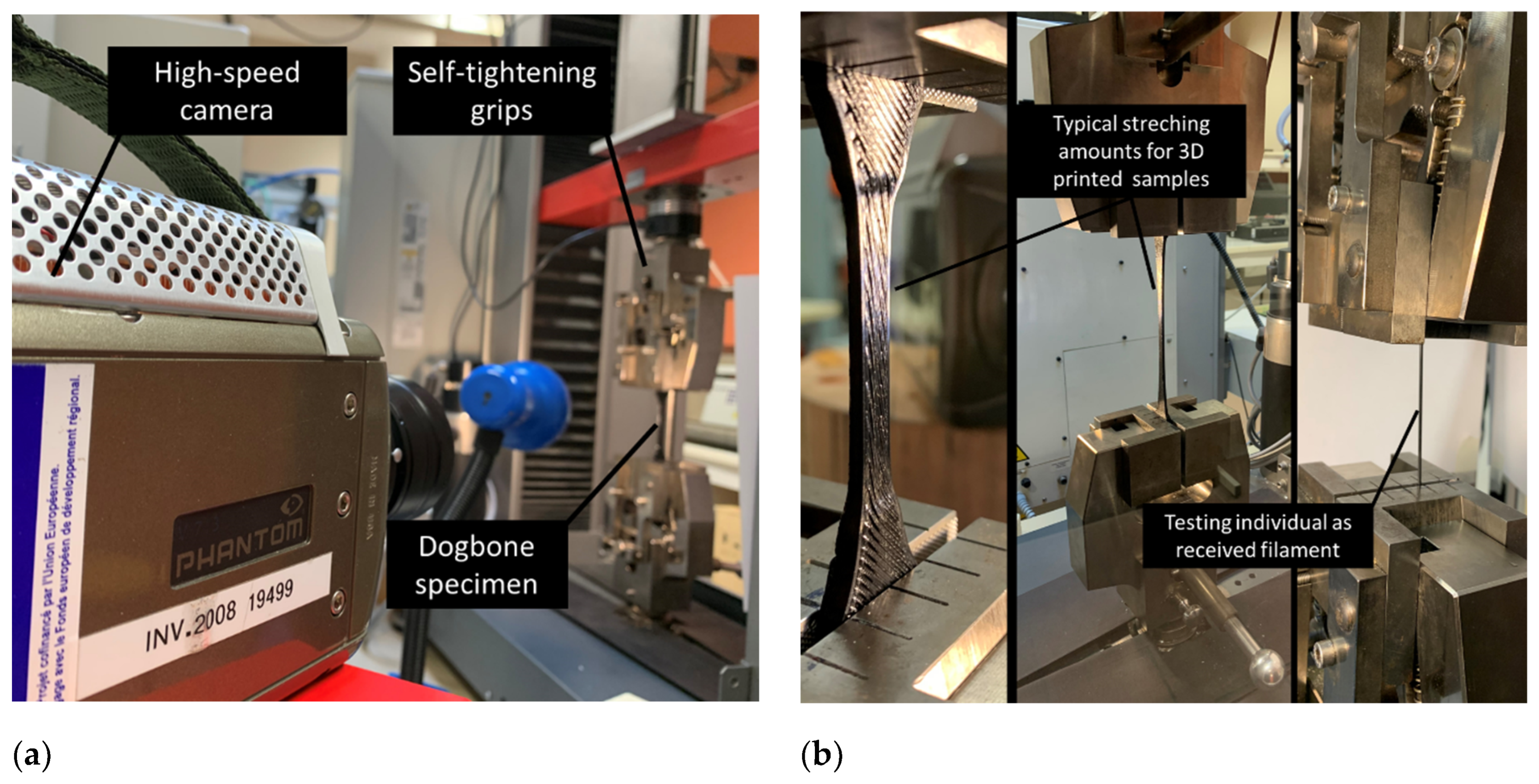 Symmetry 15 02119 g002