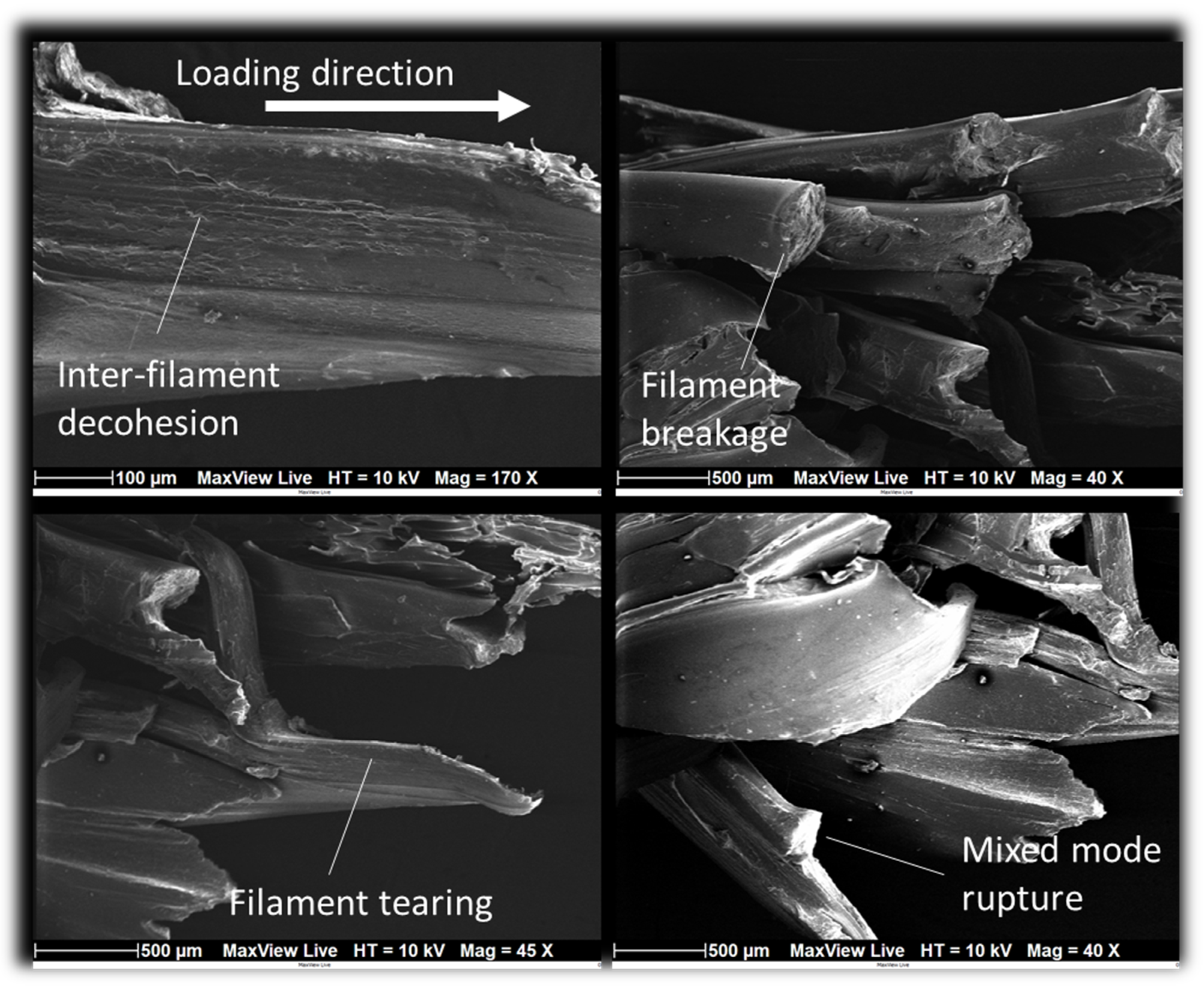 Symmetry 15 02119 g008