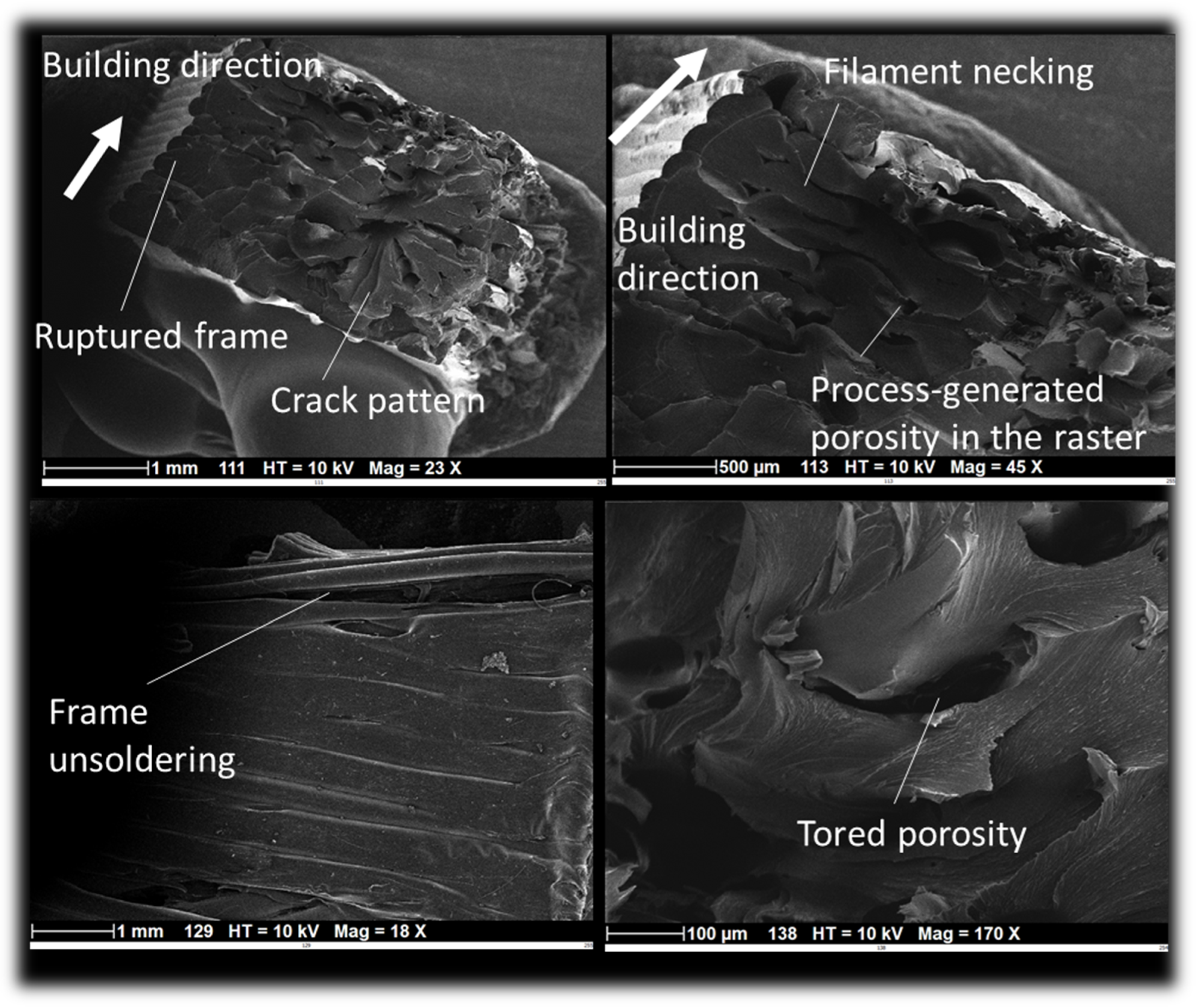 Symmetry 15 02119 g010