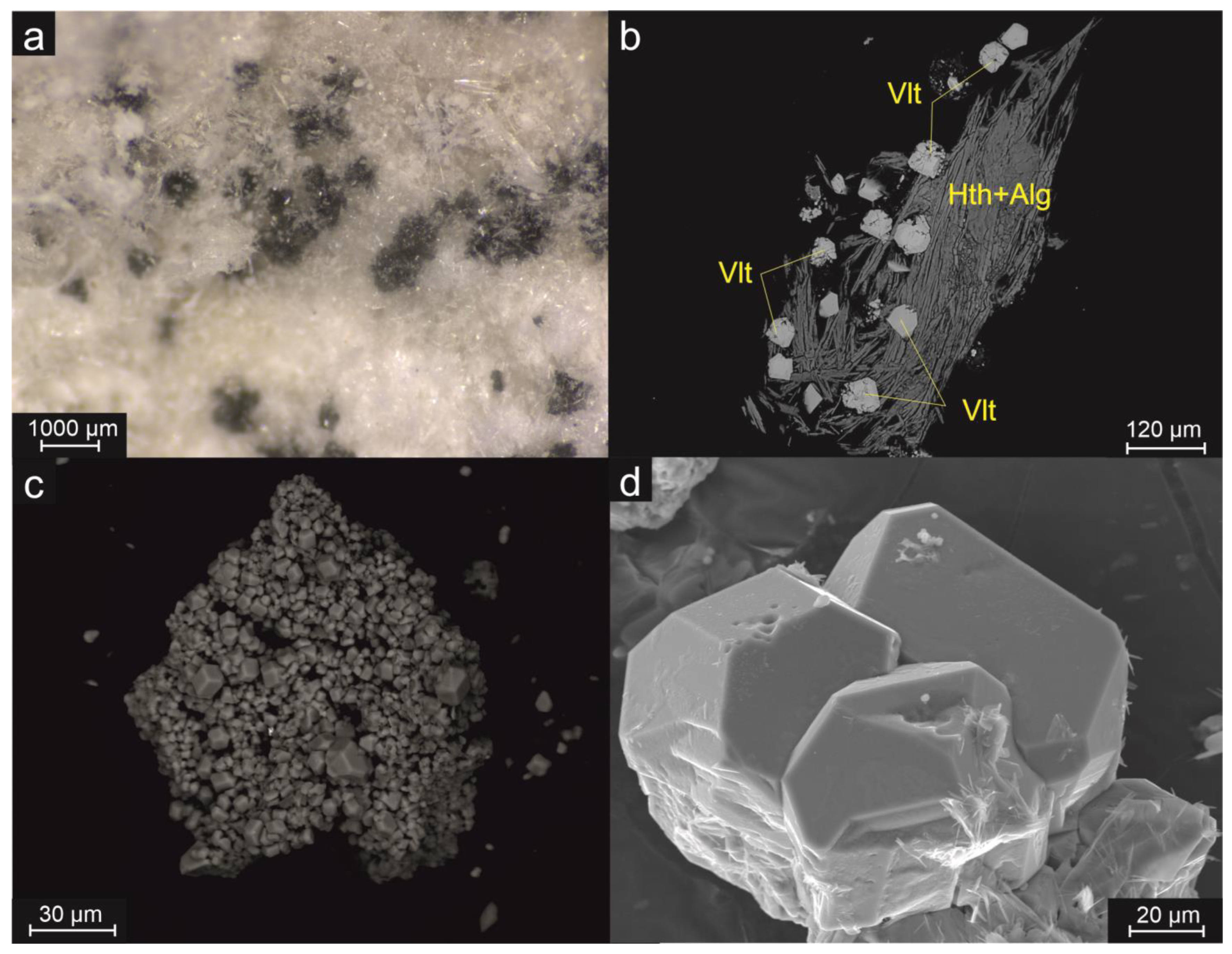 Symmetry 15 02126 g003