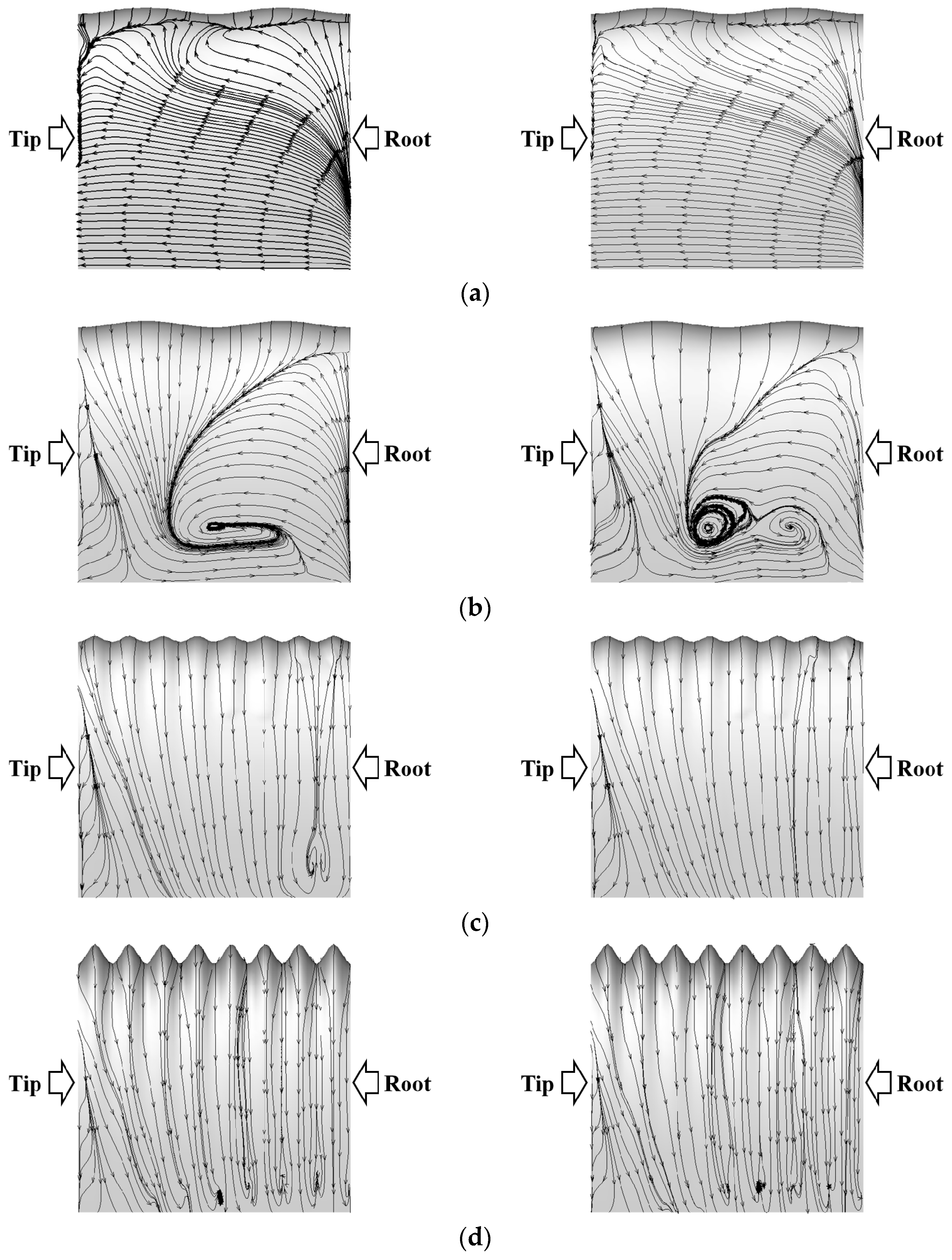 Symmetry 16 00021 g011
