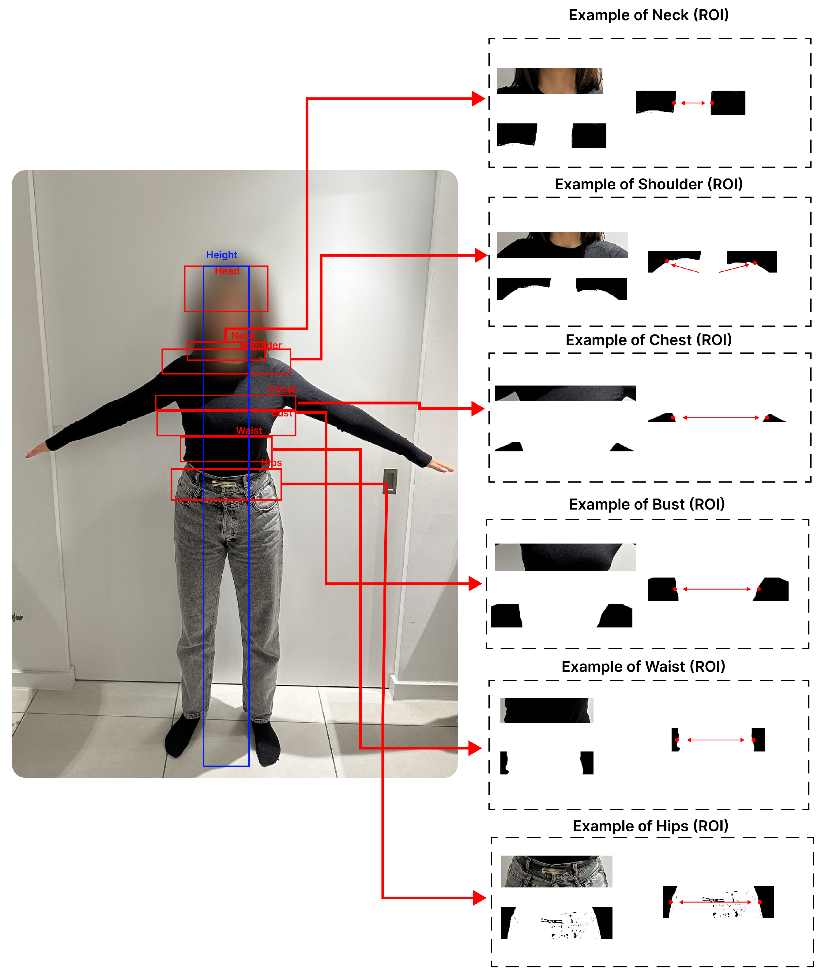 Symmetry 16 00049 g005