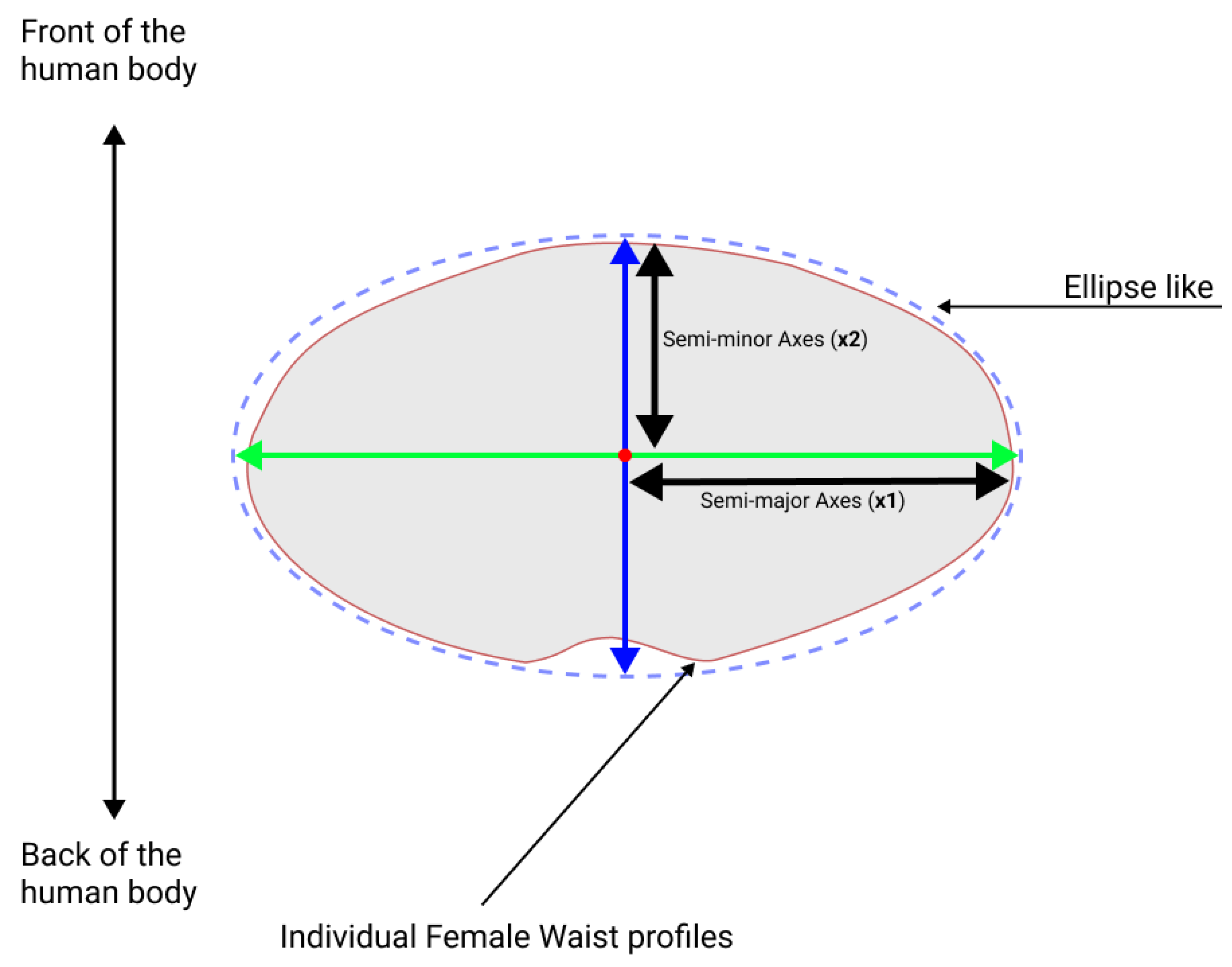 Symmetry 16 00049 g010