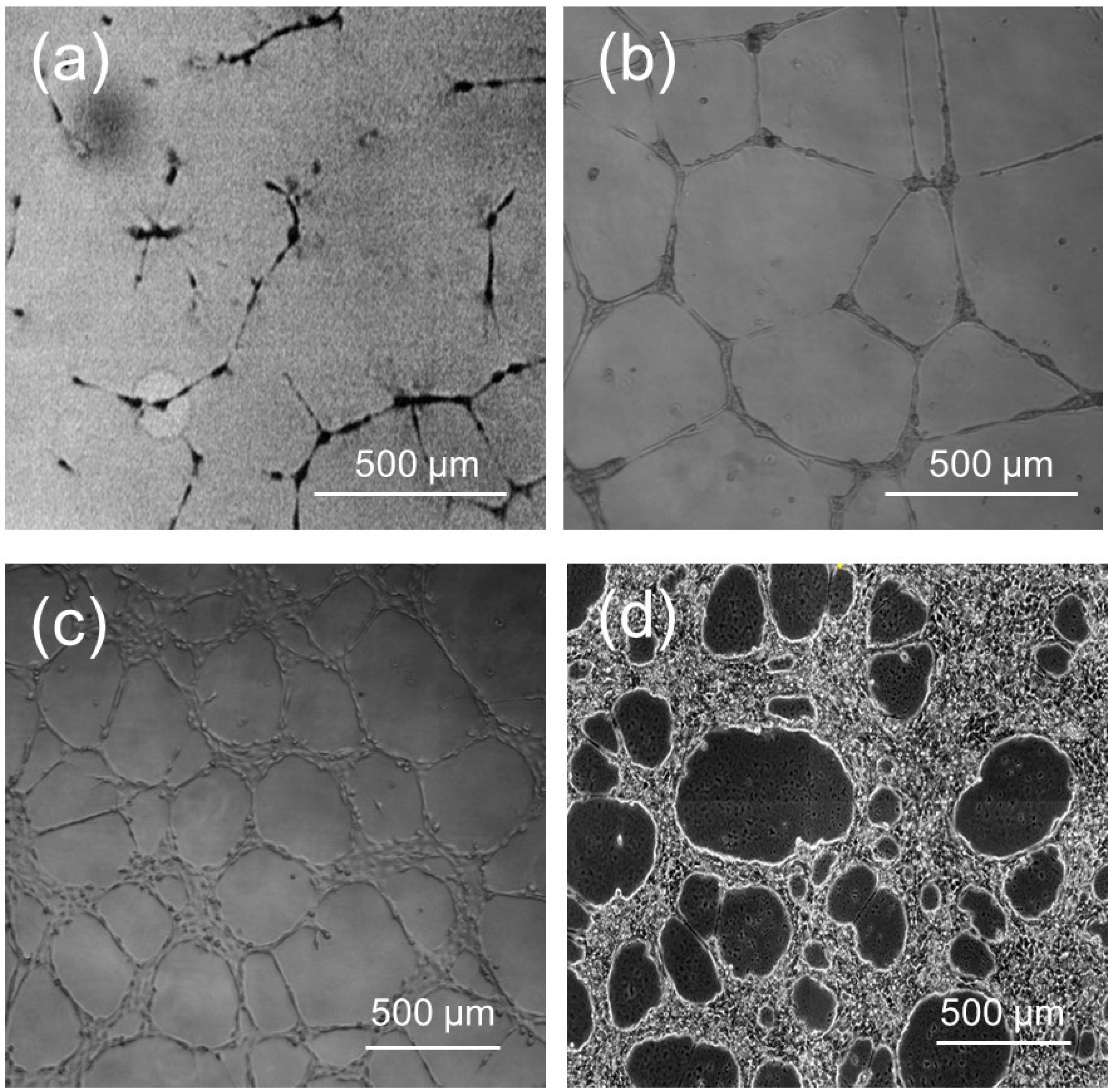 Symmetry 16 00055 g005 Symmetry 16 00055 g005