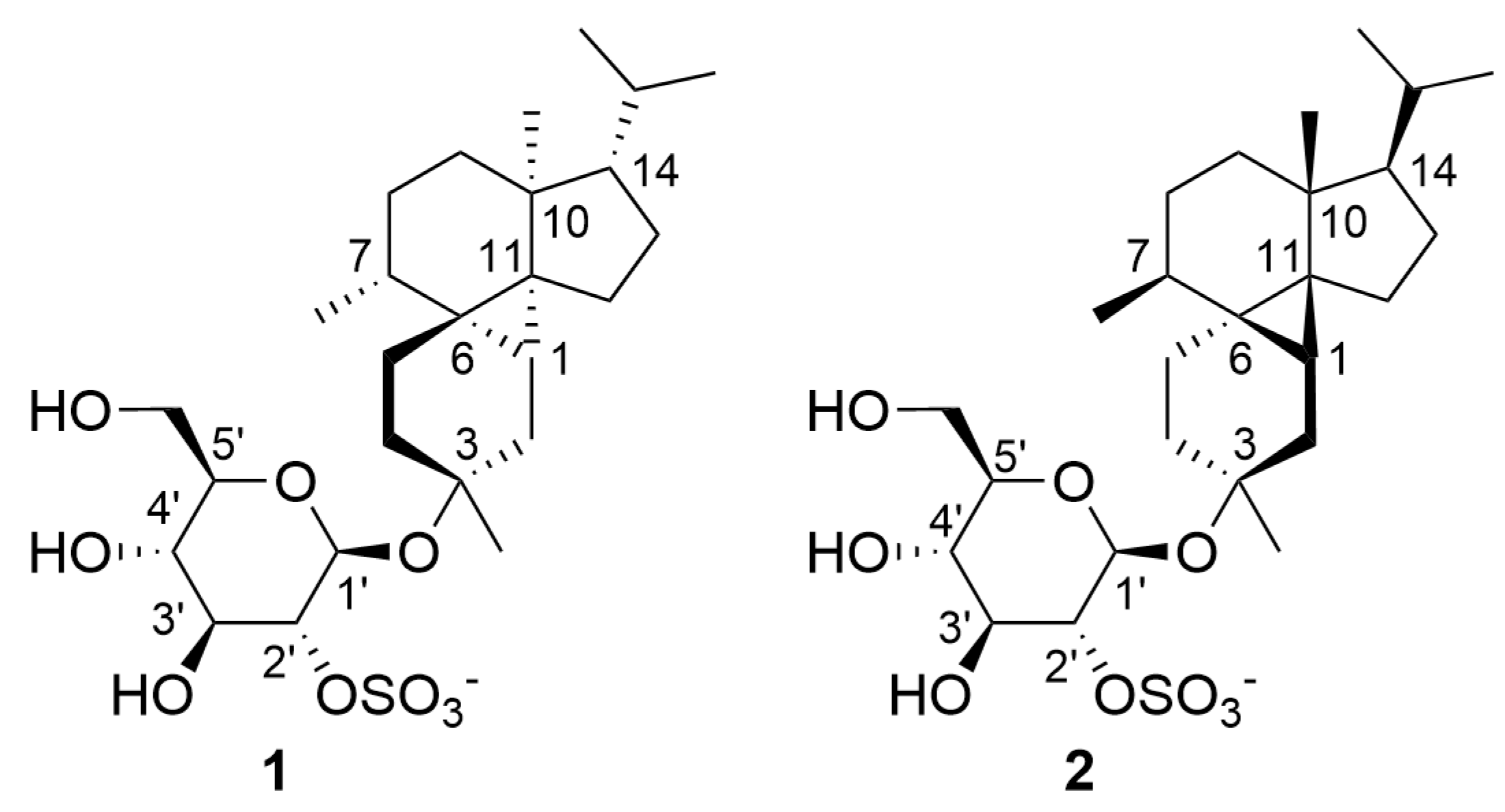 Symmetry 16 00133 g001