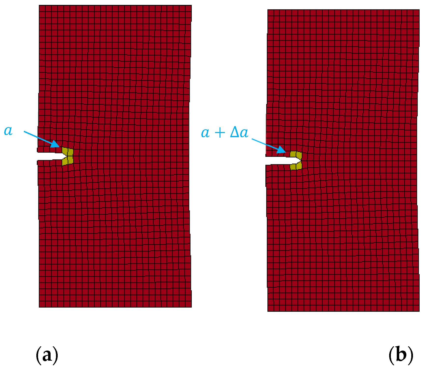 Symmetry 16 00142 g003
