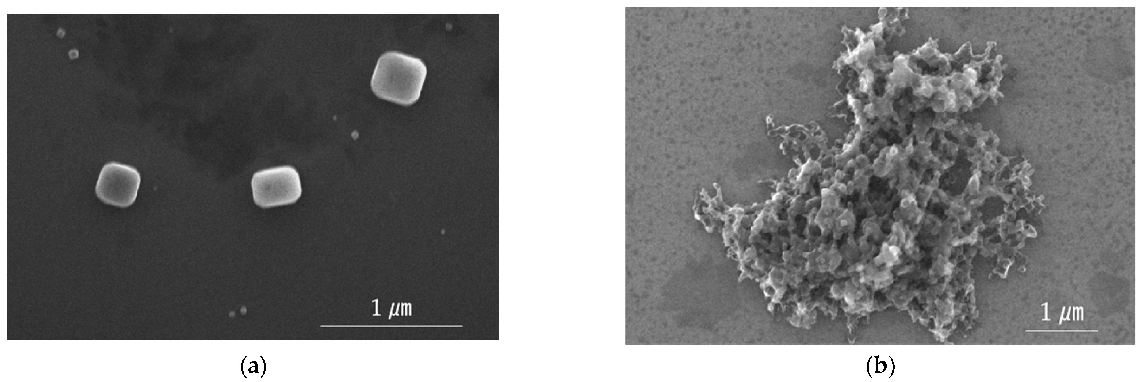 Symmetry 16 00244 g007