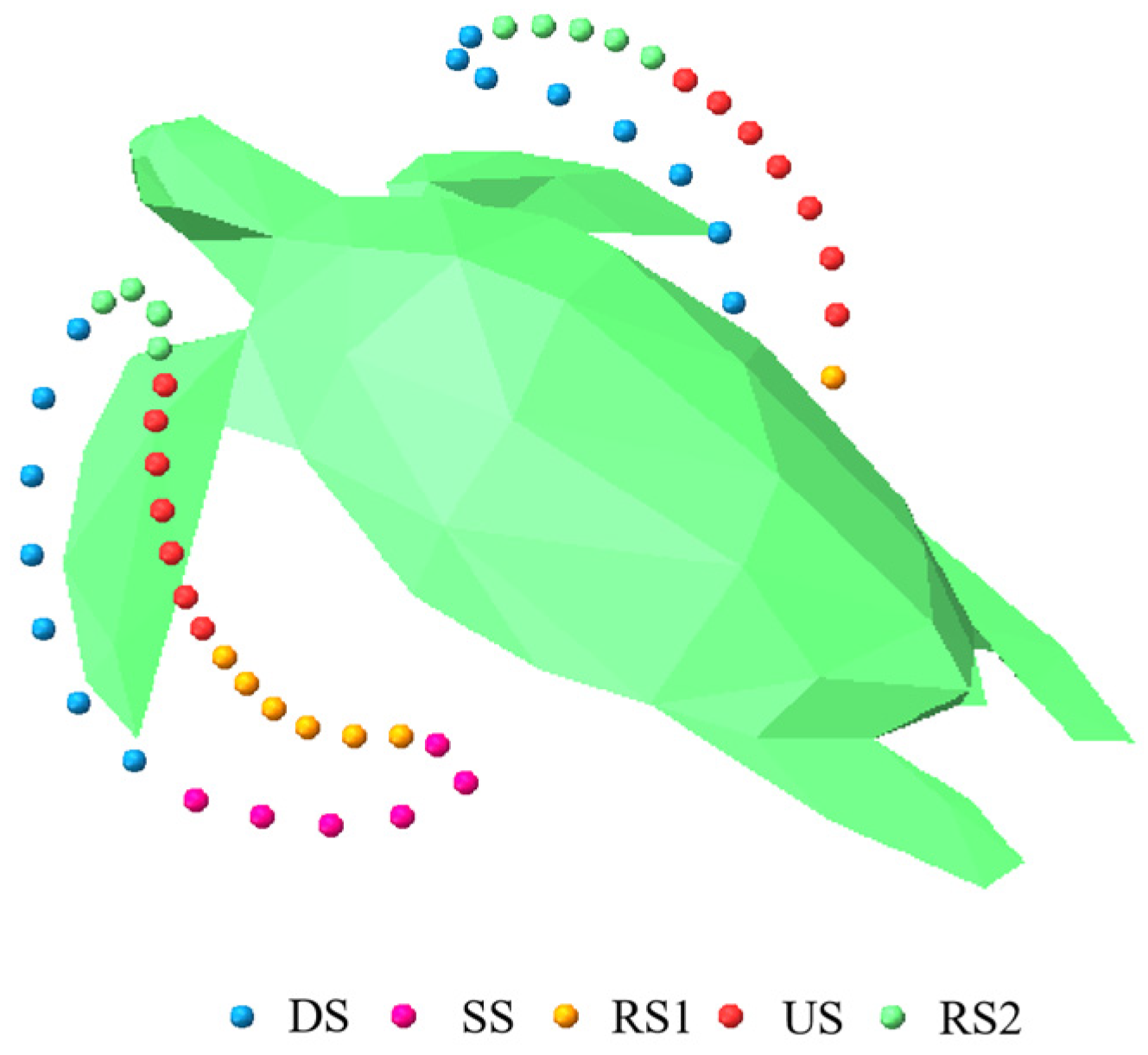 Symmetry 16 00302 g001