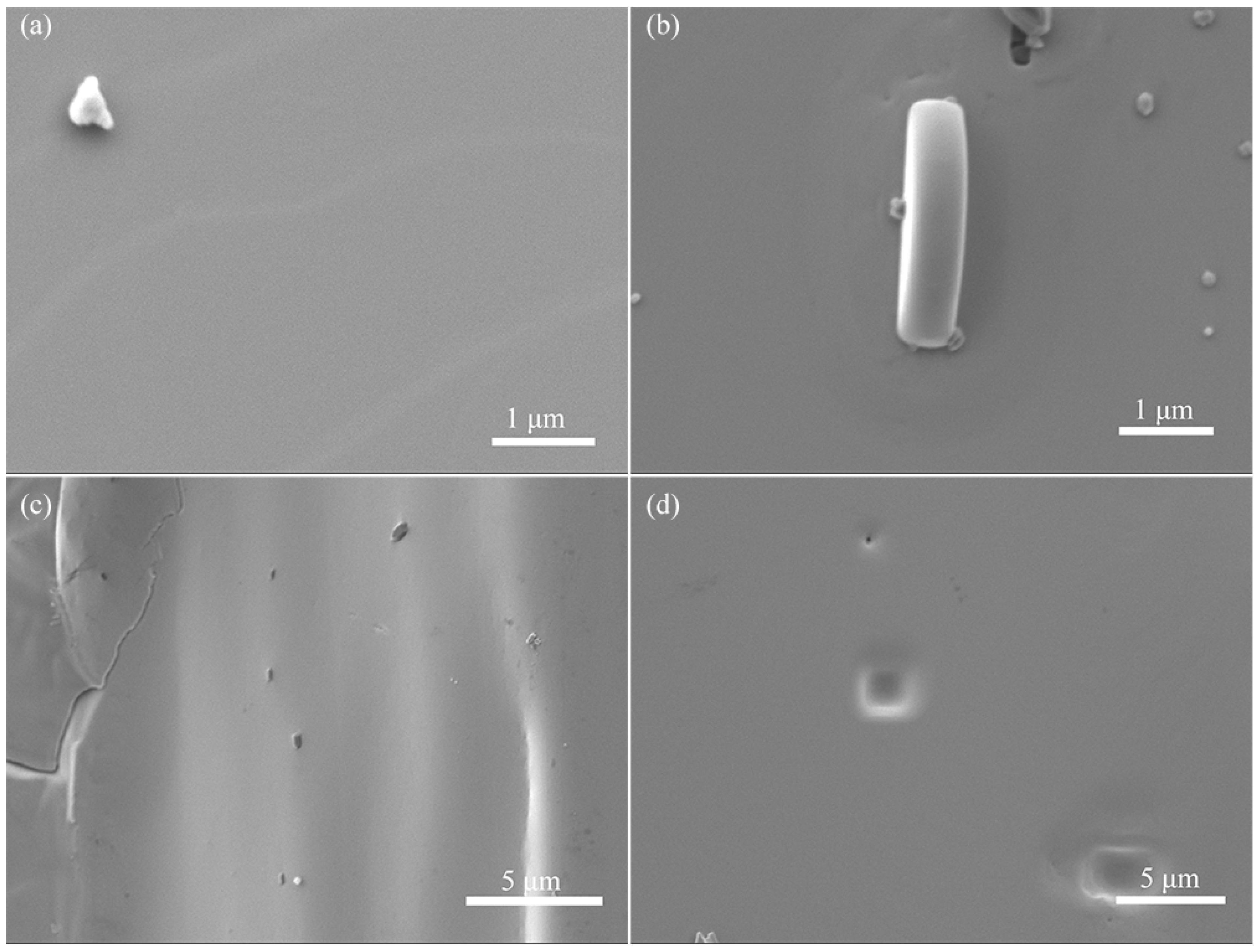 Symmetry 16 00332 g004