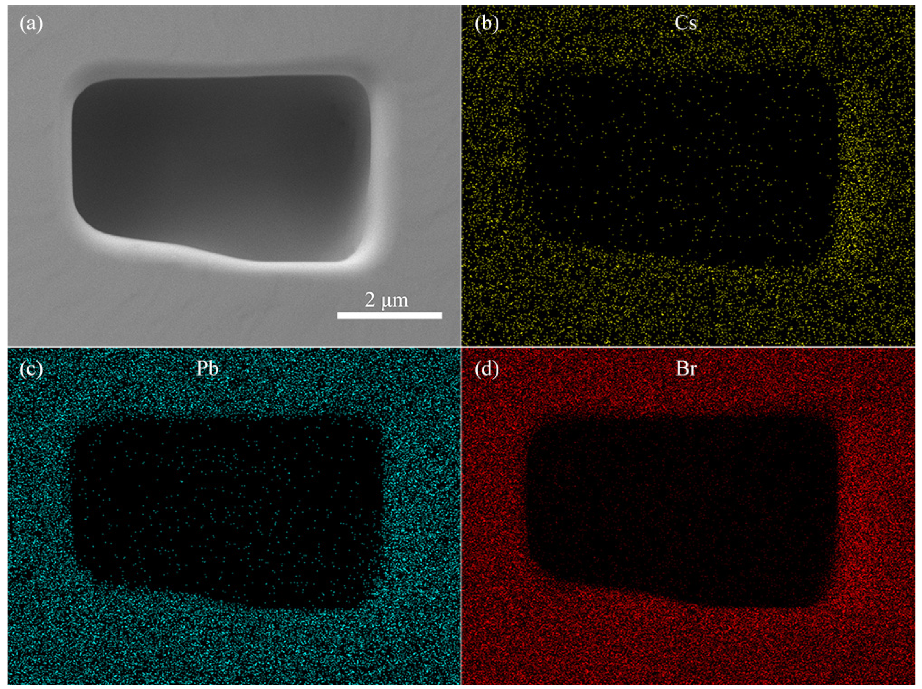 Symmetry 16 00332 g005