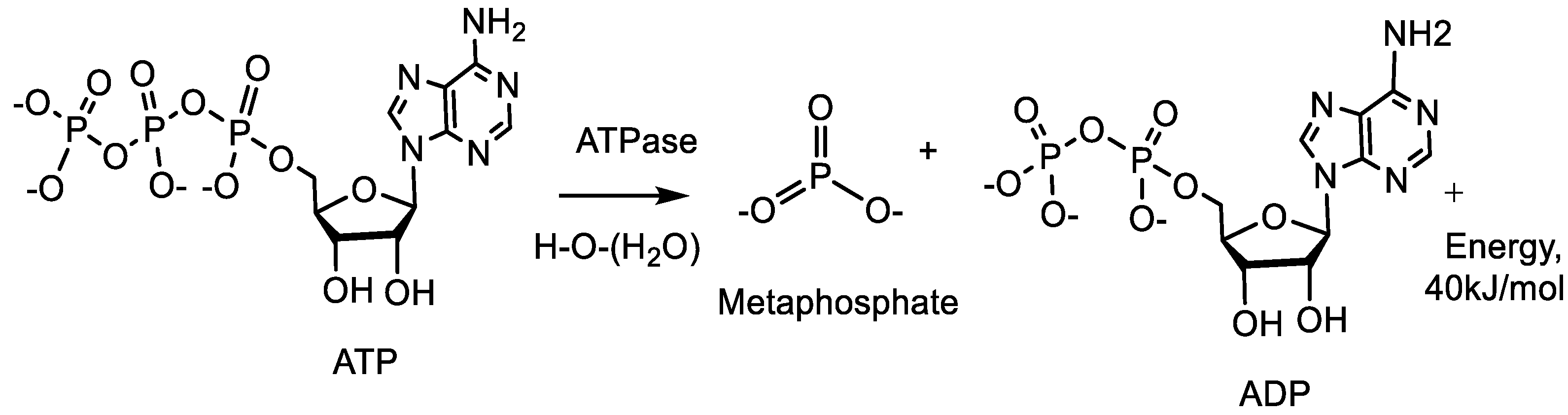 Symmetry 16 00342 g002
