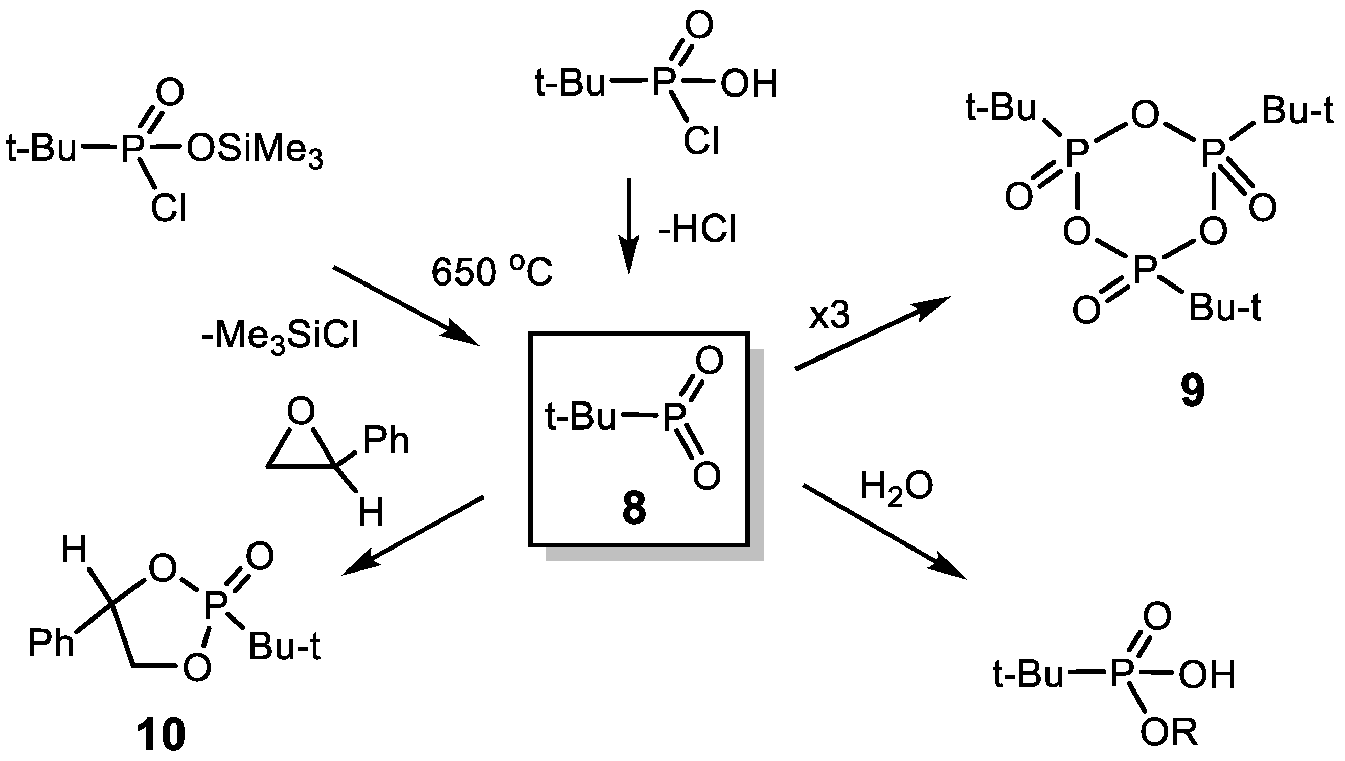 Symmetry 16 00342 g004