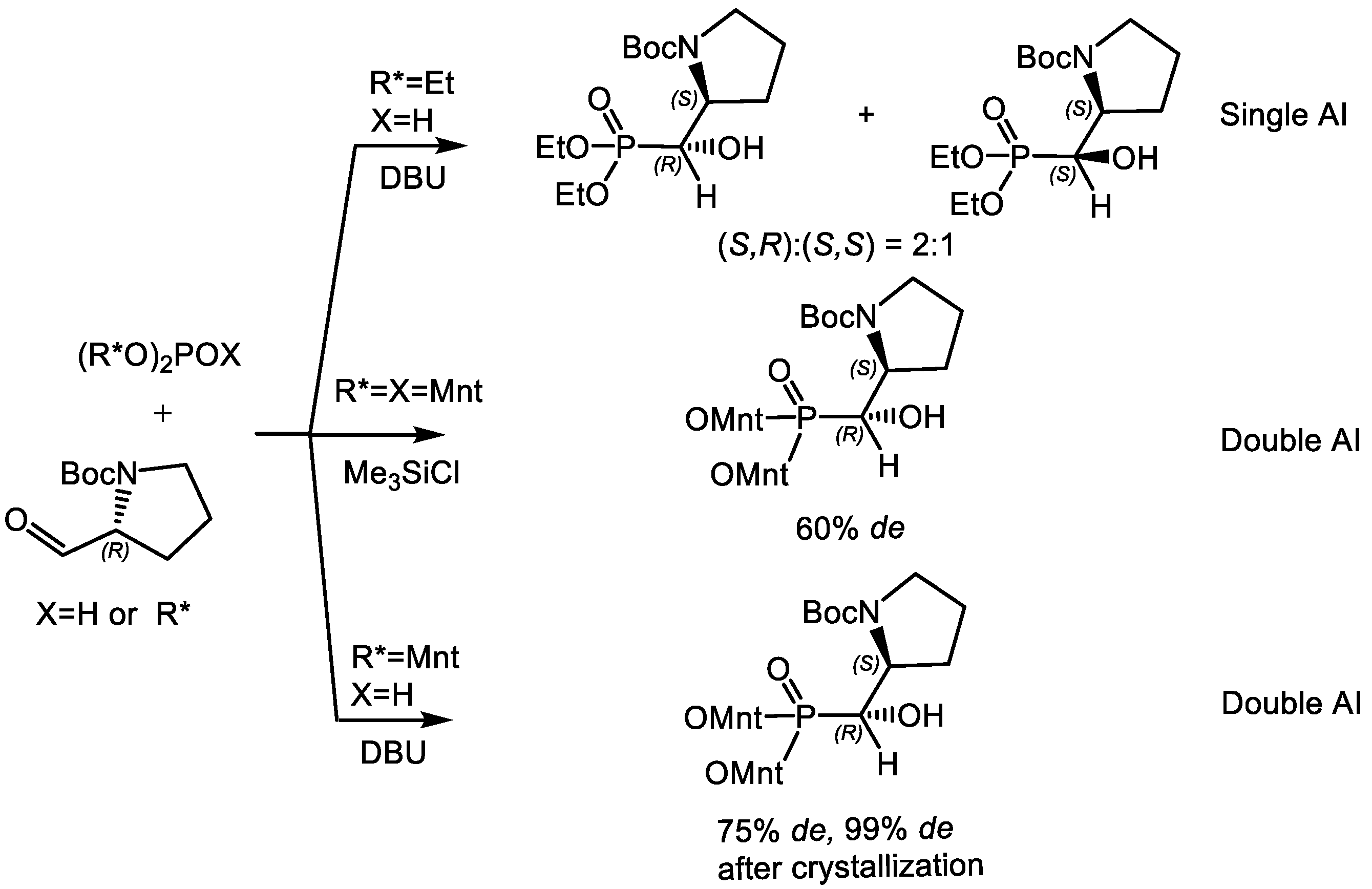 Symmetry 16 00342 g010