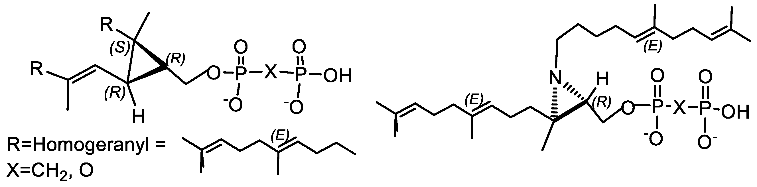Symmetry 16 00342 g031