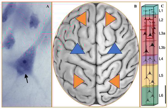 Symmetry 16 00355 g002