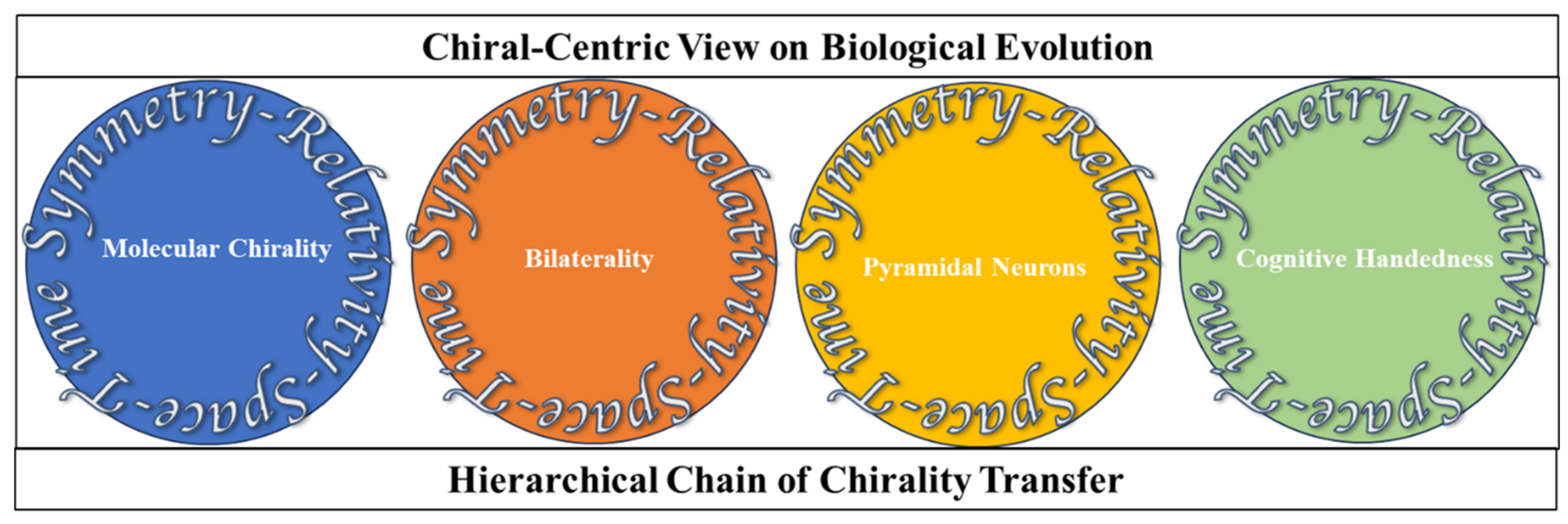 Symmetry 16 00355 g003 Symmetry 16 00355 g003