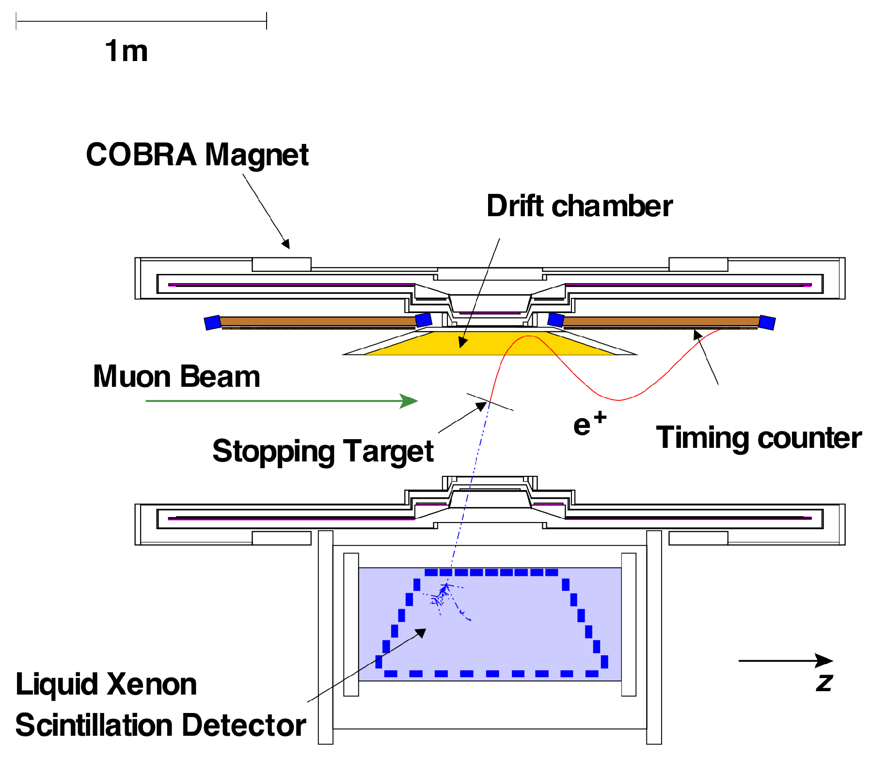 Symmetry 16 00359 g001