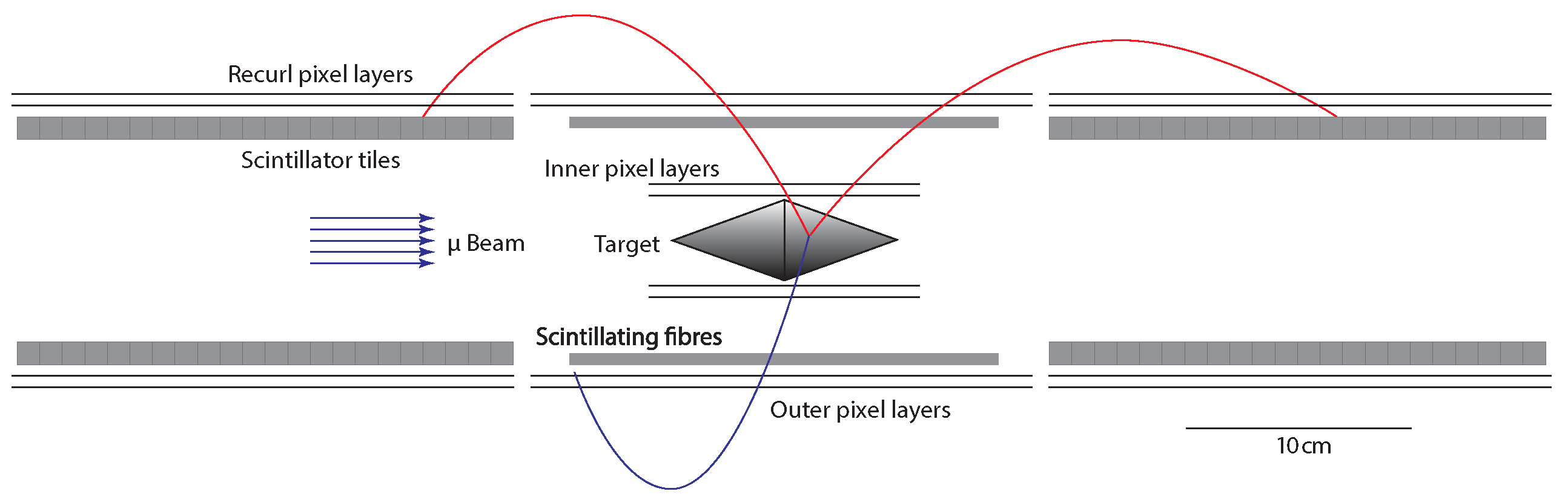 Symmetry 16 00359 g002