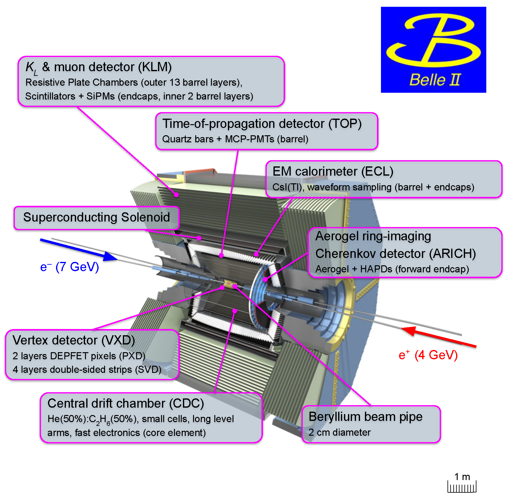 Symmetry 16 00359 g004