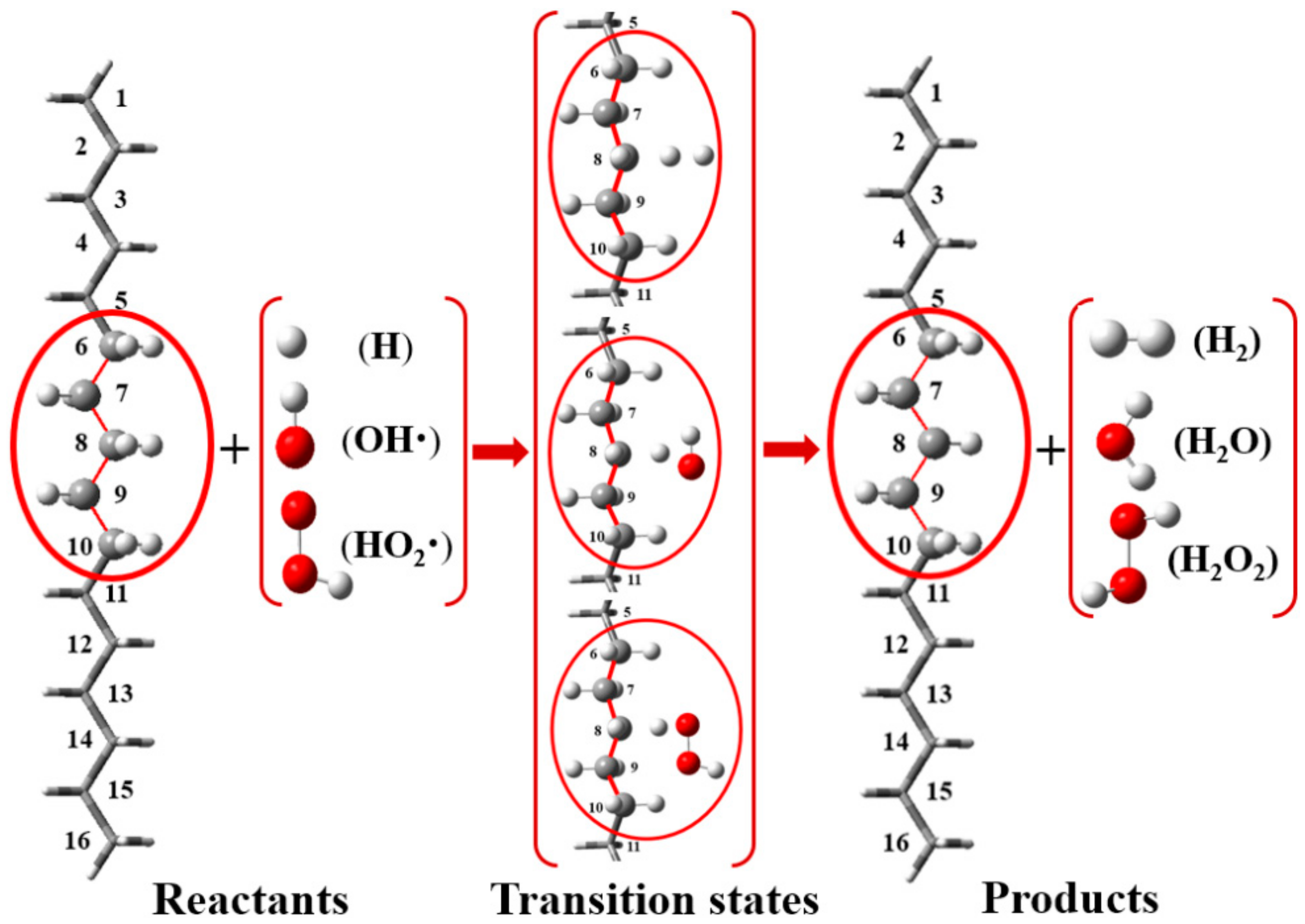 Symmetry 16 00367 g001