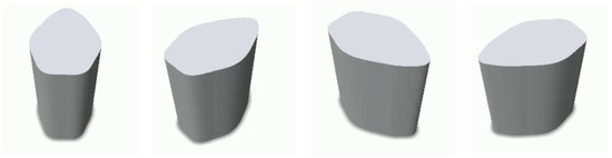 Symmetry 16 00381 g021