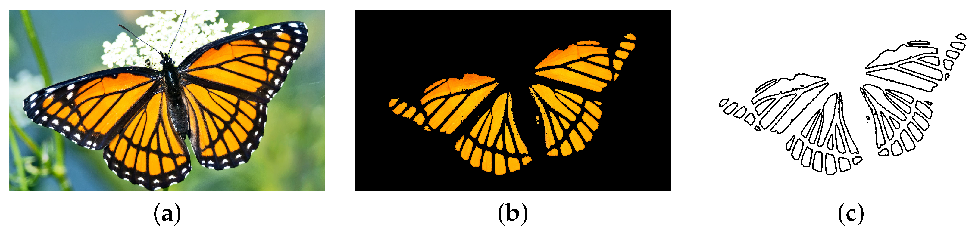 Symmetry 16 00442 g001