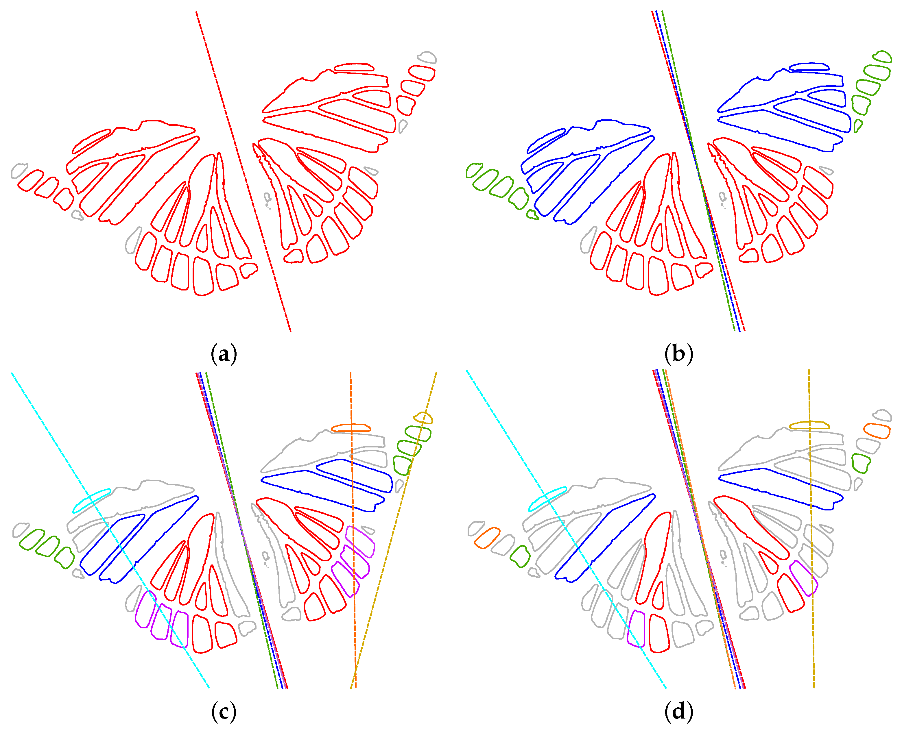 Symmetry 16 00442 g006