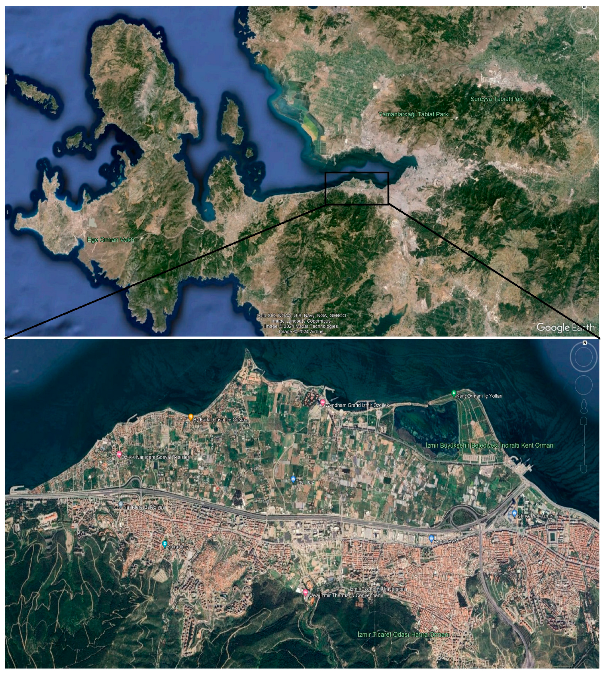 Symmetry 16 00484 g004