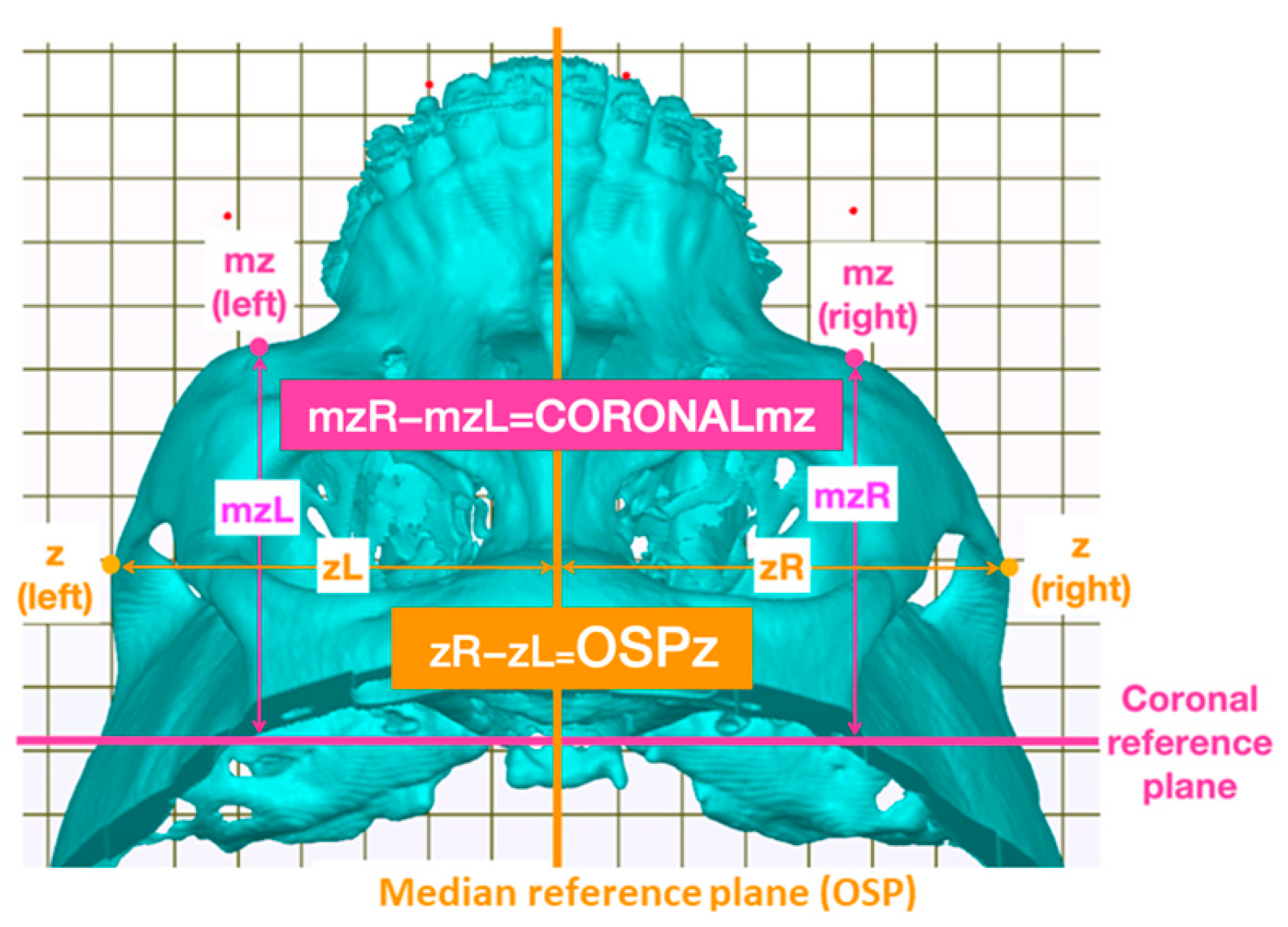 Symmetry 16 00490 g002